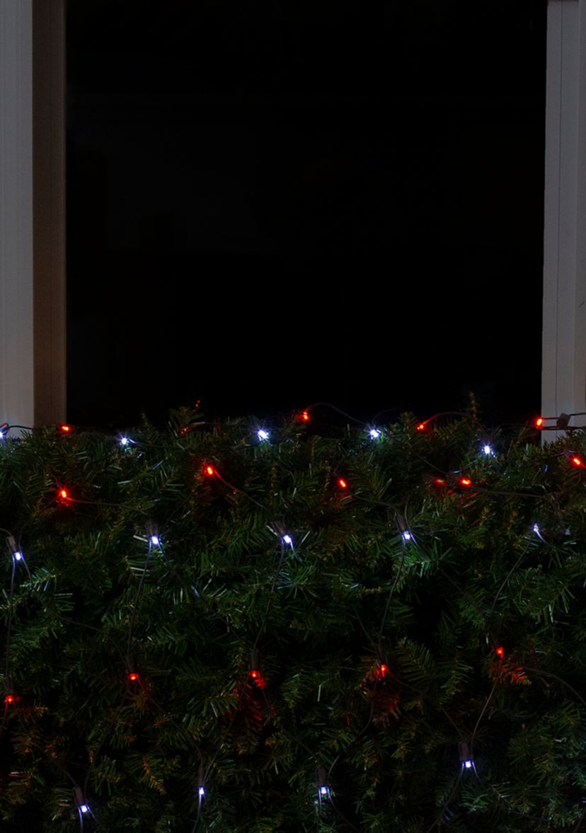 4 x 6 Red and White Micro LED Net Style Christmas Lights  Brown Wire