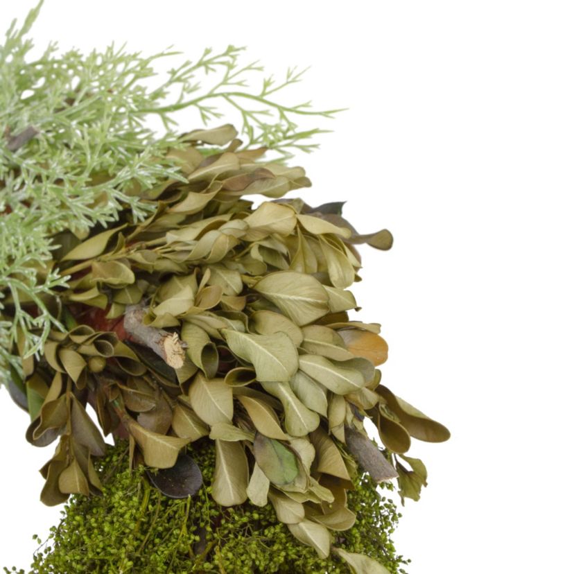 Cedar  Succulent and Day Grass Artificial Spring Wreath  Green -14-Inch