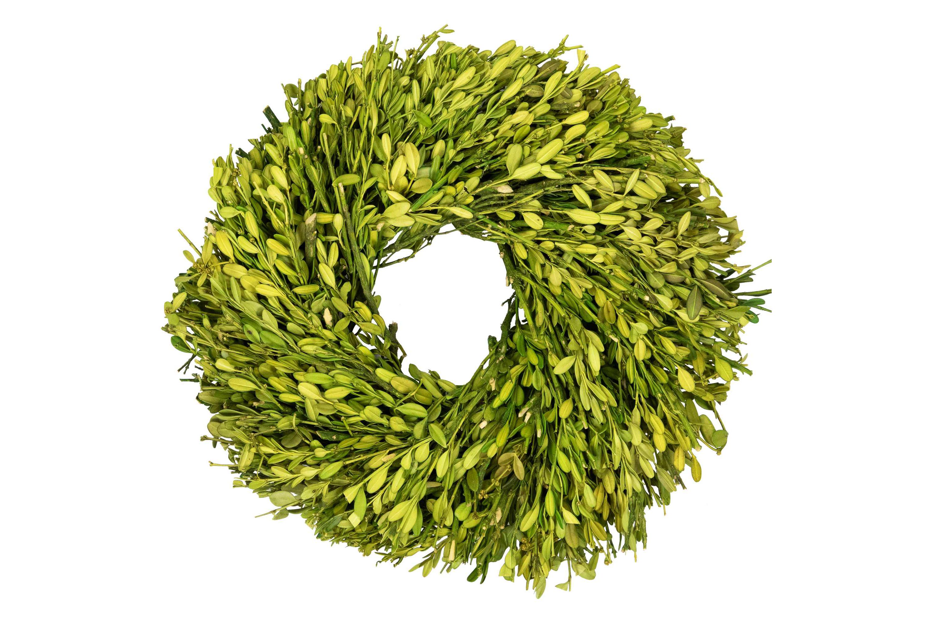 Green Foliage Artificial Spring Wreath - 11" - Unlit