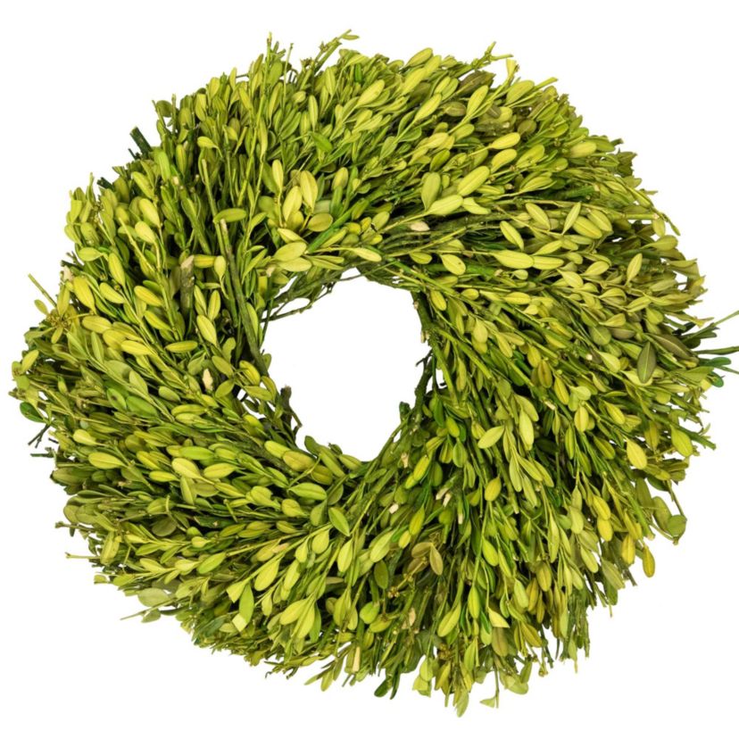 Green Foliage Artificial Spring Wreath - 11" - Unlit