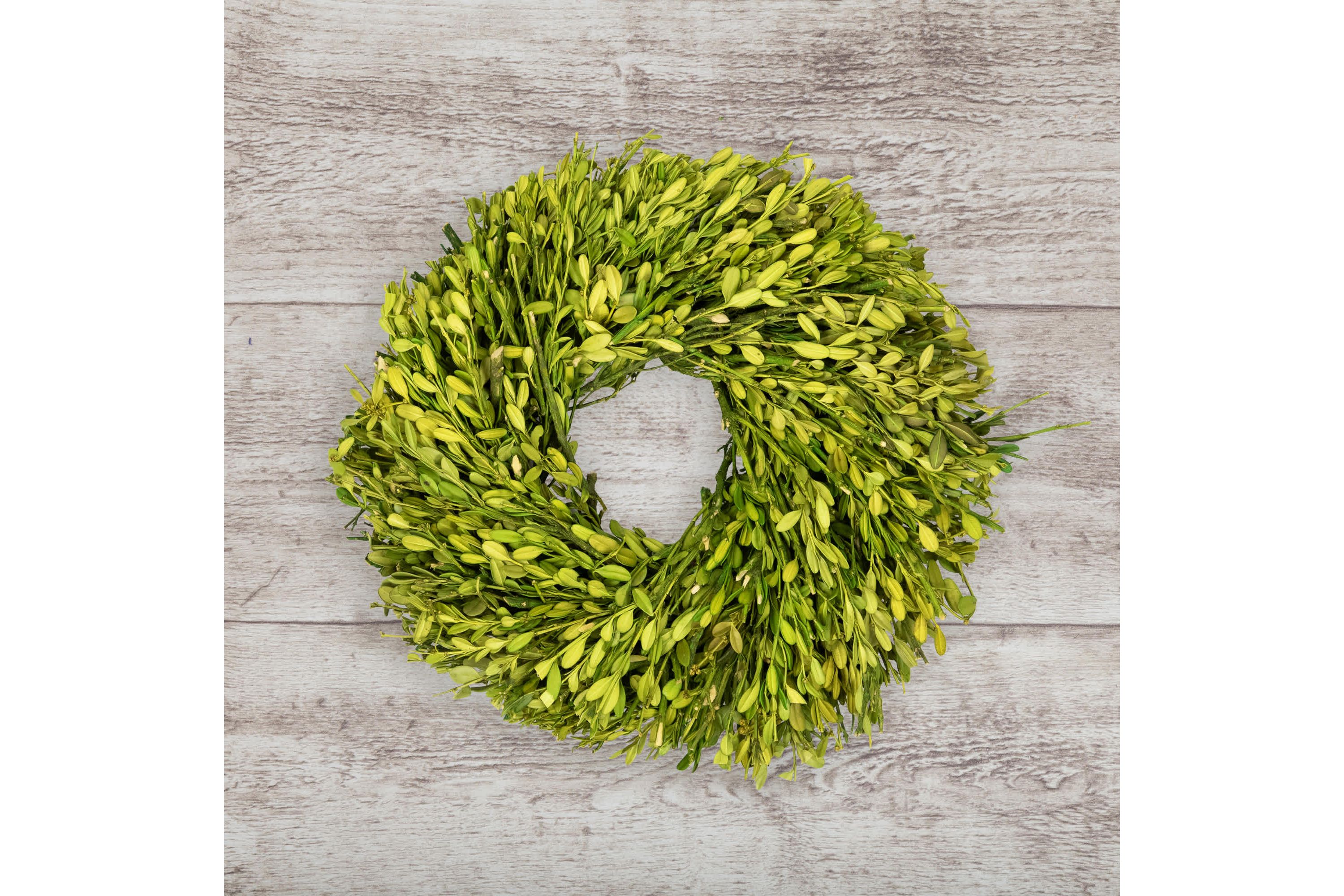 Green Foliage Artificial Spring Wreath - 11" - Unlit