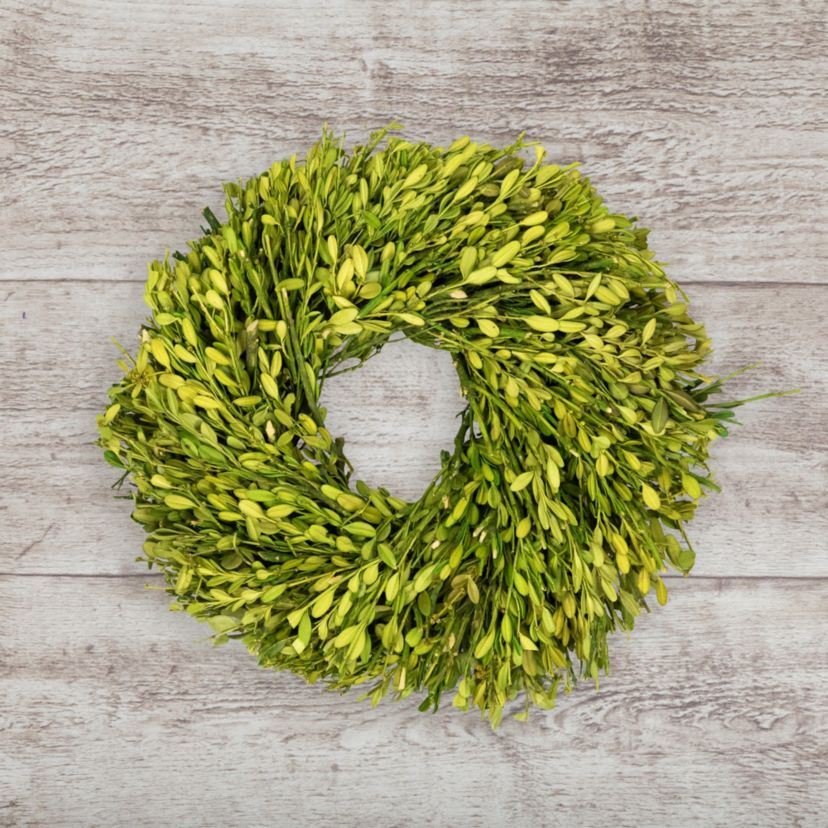 Green Foliage Artificial Spring Wreath - 11" - Unlit