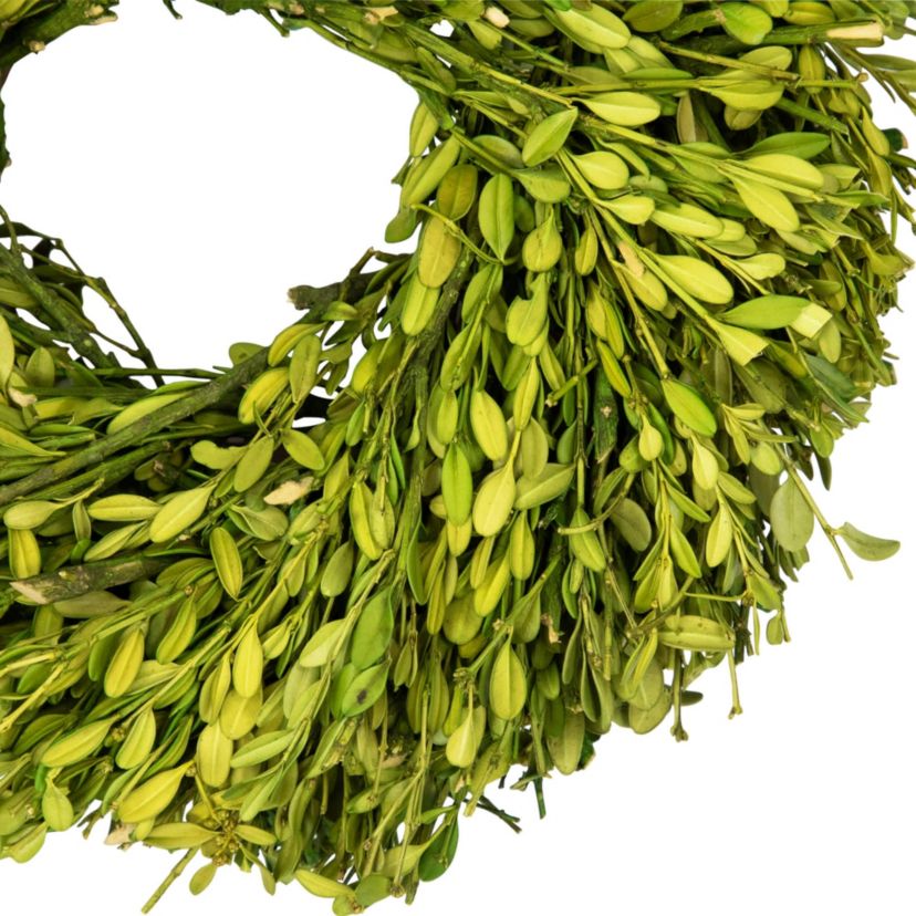 Green Foliage Artificial Spring Wreath - 11" - Unlit