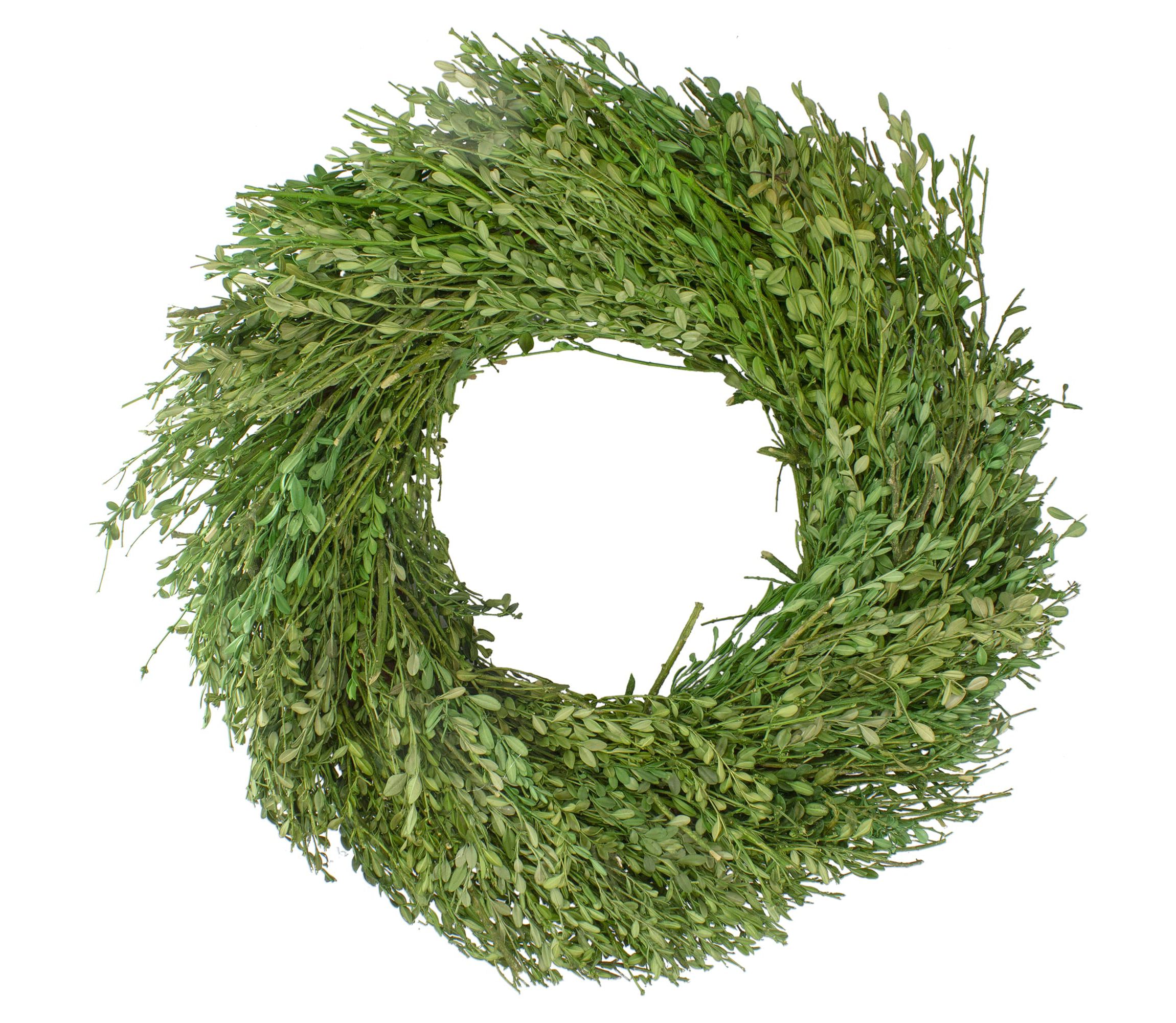 Green Foliage Artificial Spring Wreath  20-Inch