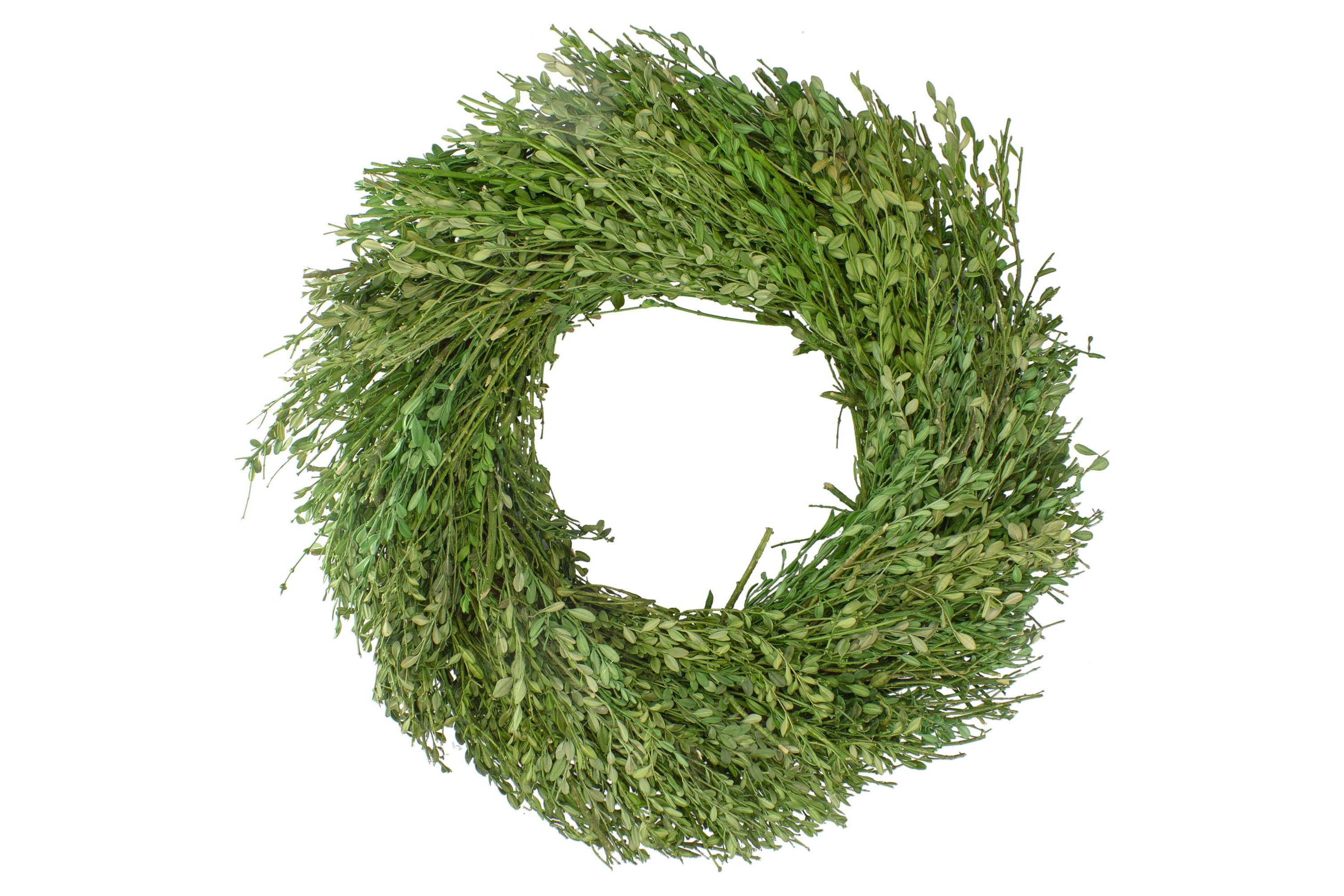 Green Foliage Artificial Spring Wreath  20-Inch