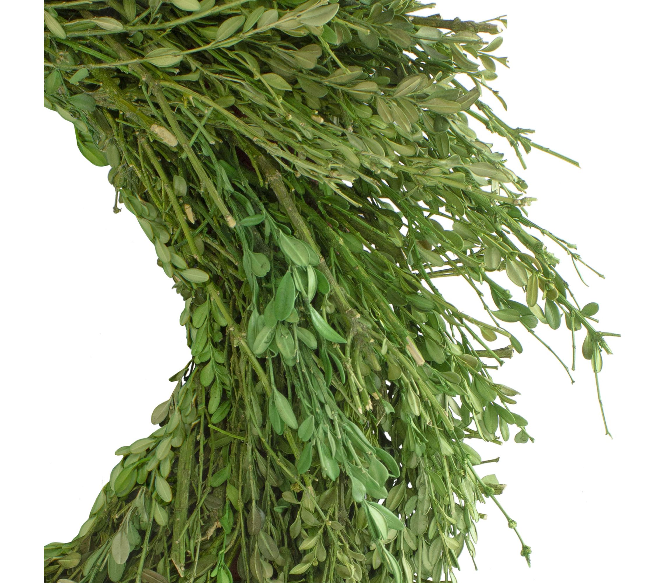 Green Foliage Artificial Spring Wreath  20-Inch