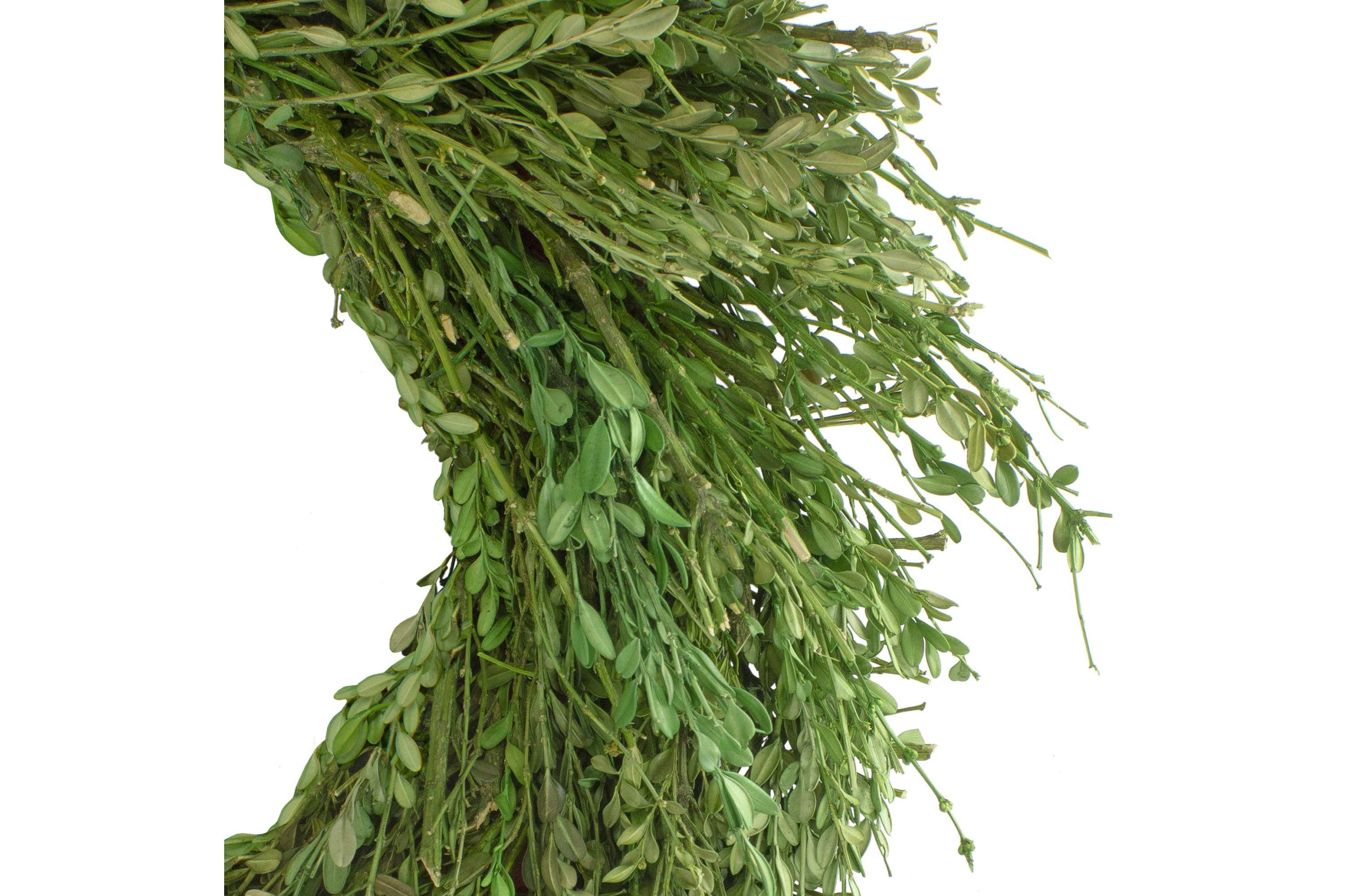 Green Foliage Artificial Spring Wreath  20-Inch