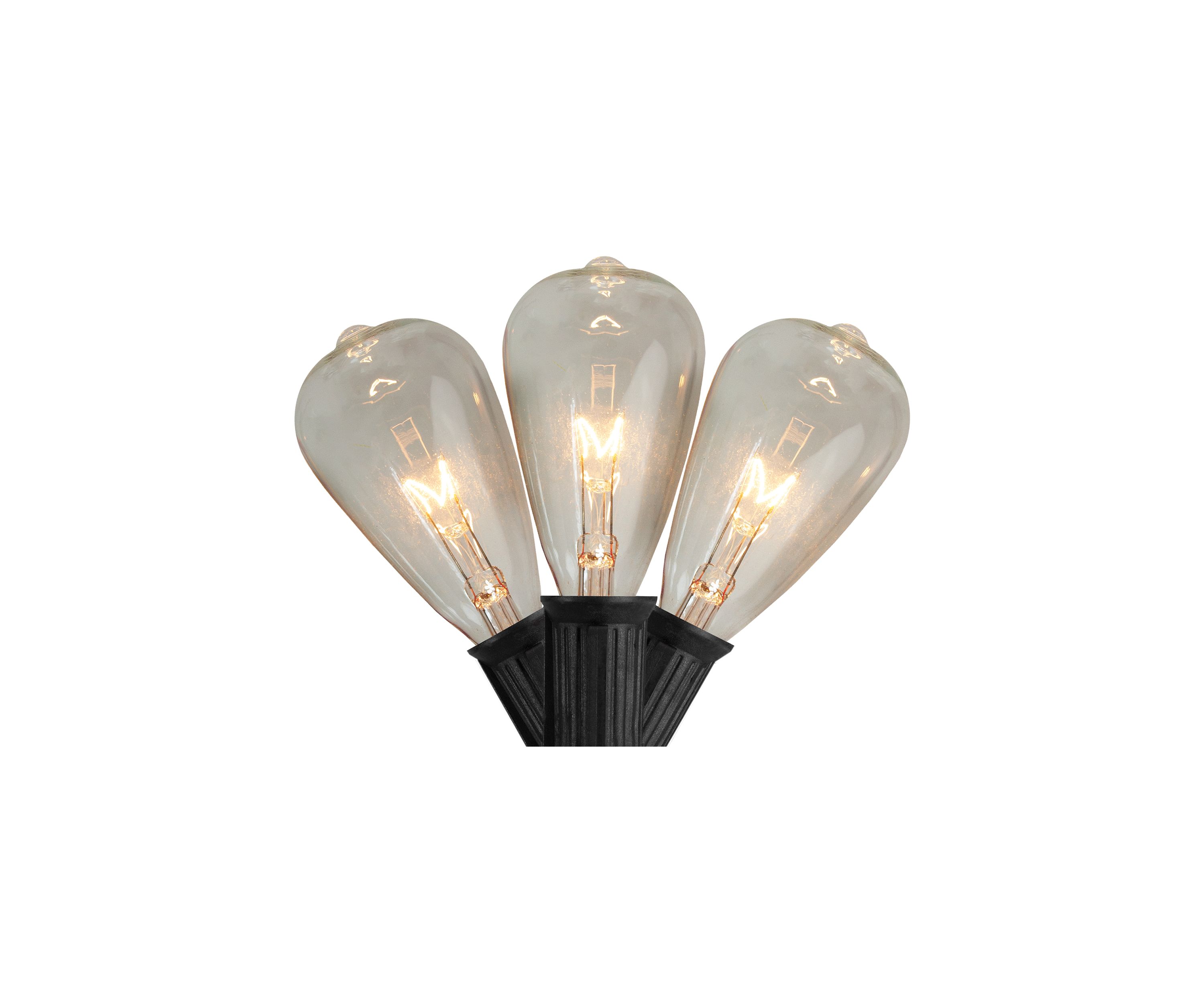 10 Count Clear Edison Glass Christmas Light Set  9ft Black Wire