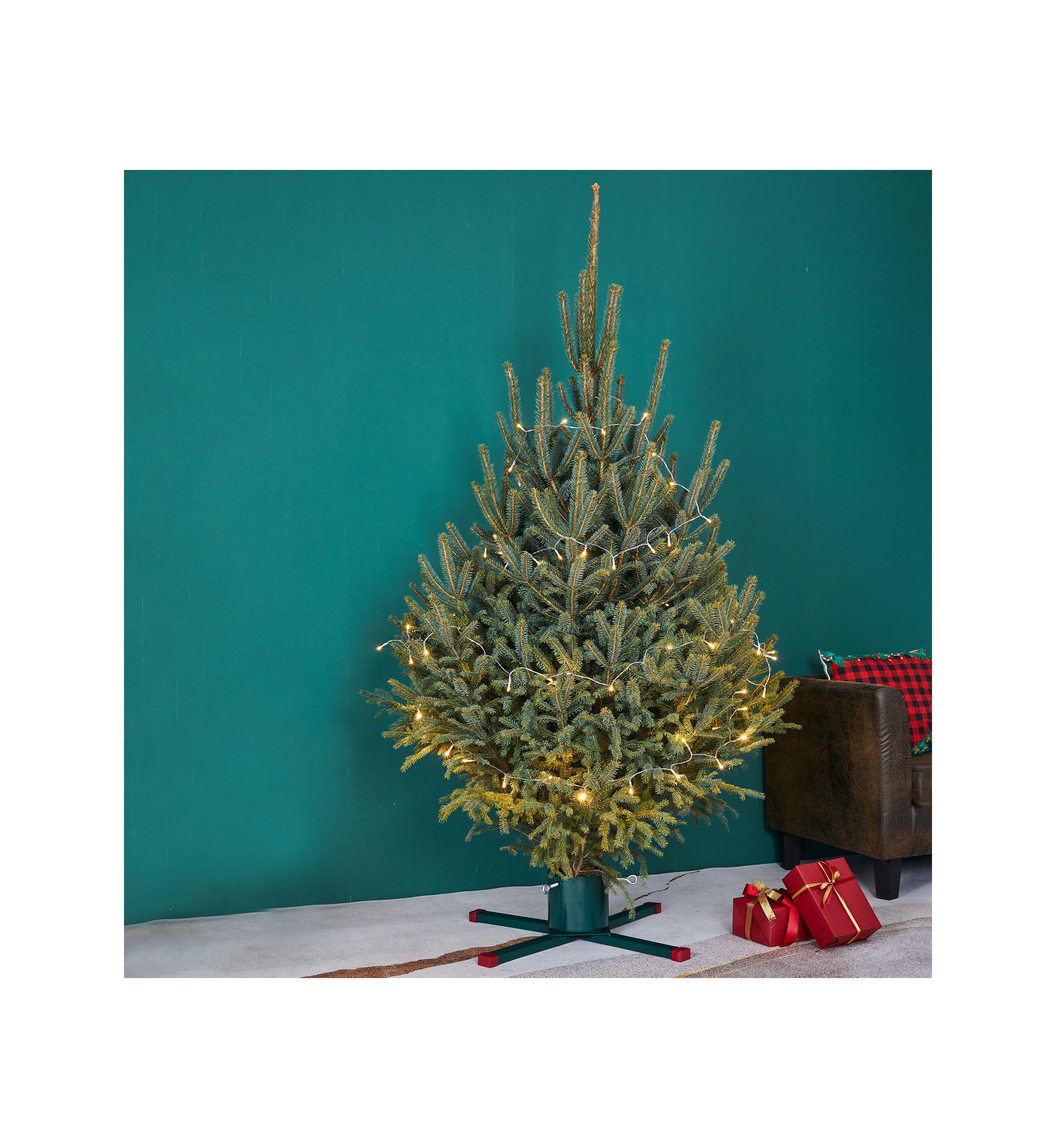 Green Metal Live Christmas Tree Stand - For Trees up to 9ft Tall