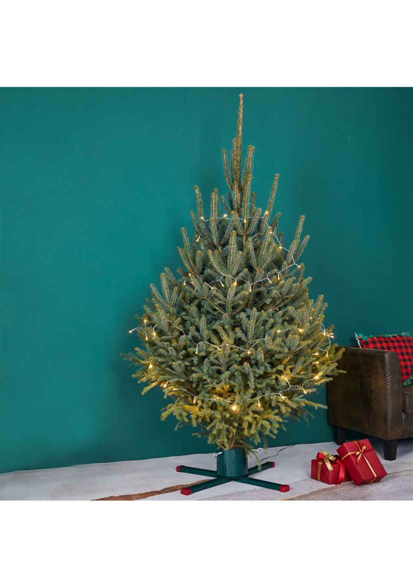 Green Metal Live Christmas Tree Stand - For Trees up to 9ft Tall