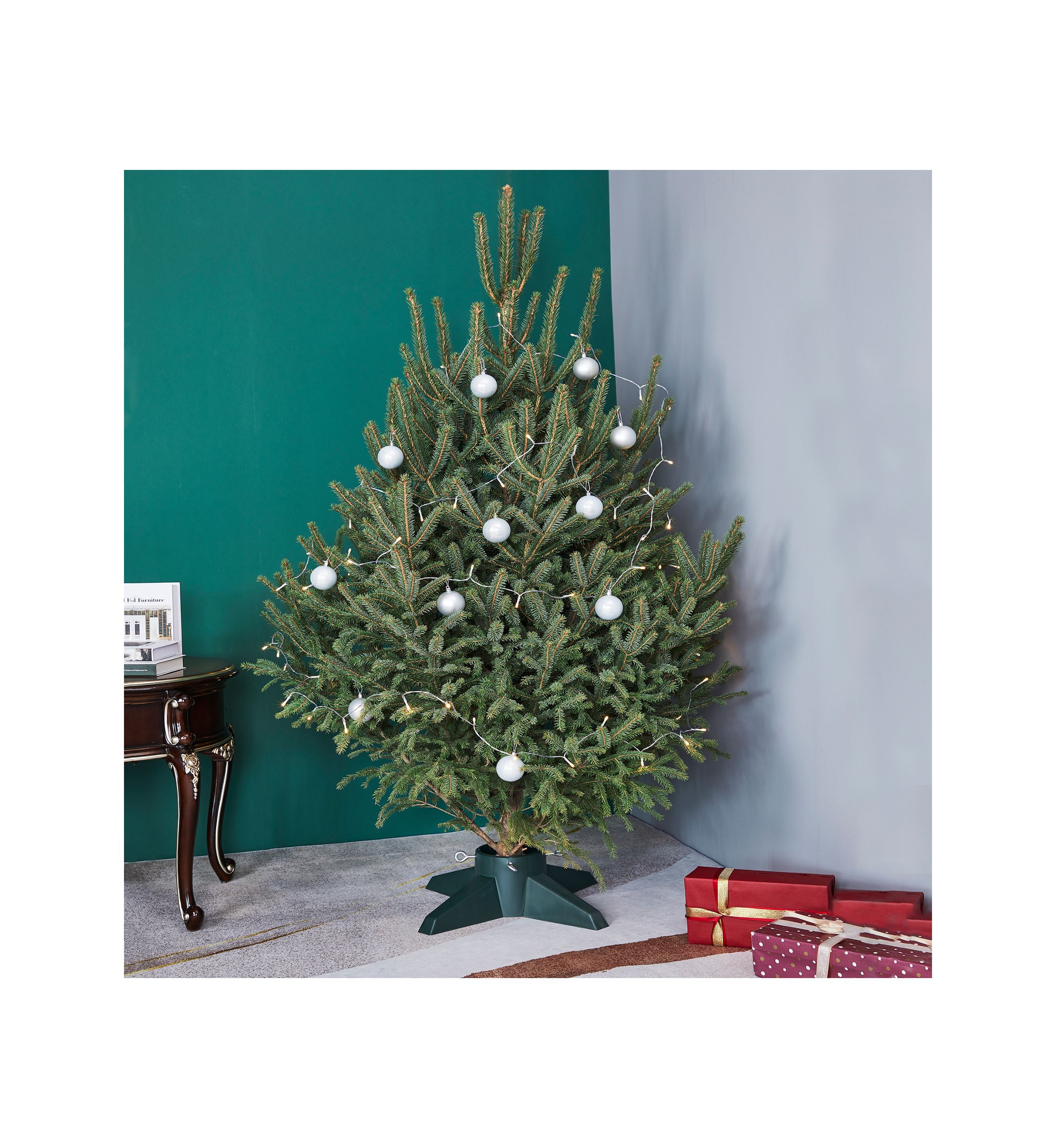 Green Live Christmas Tree Stand - For Trees up to 9