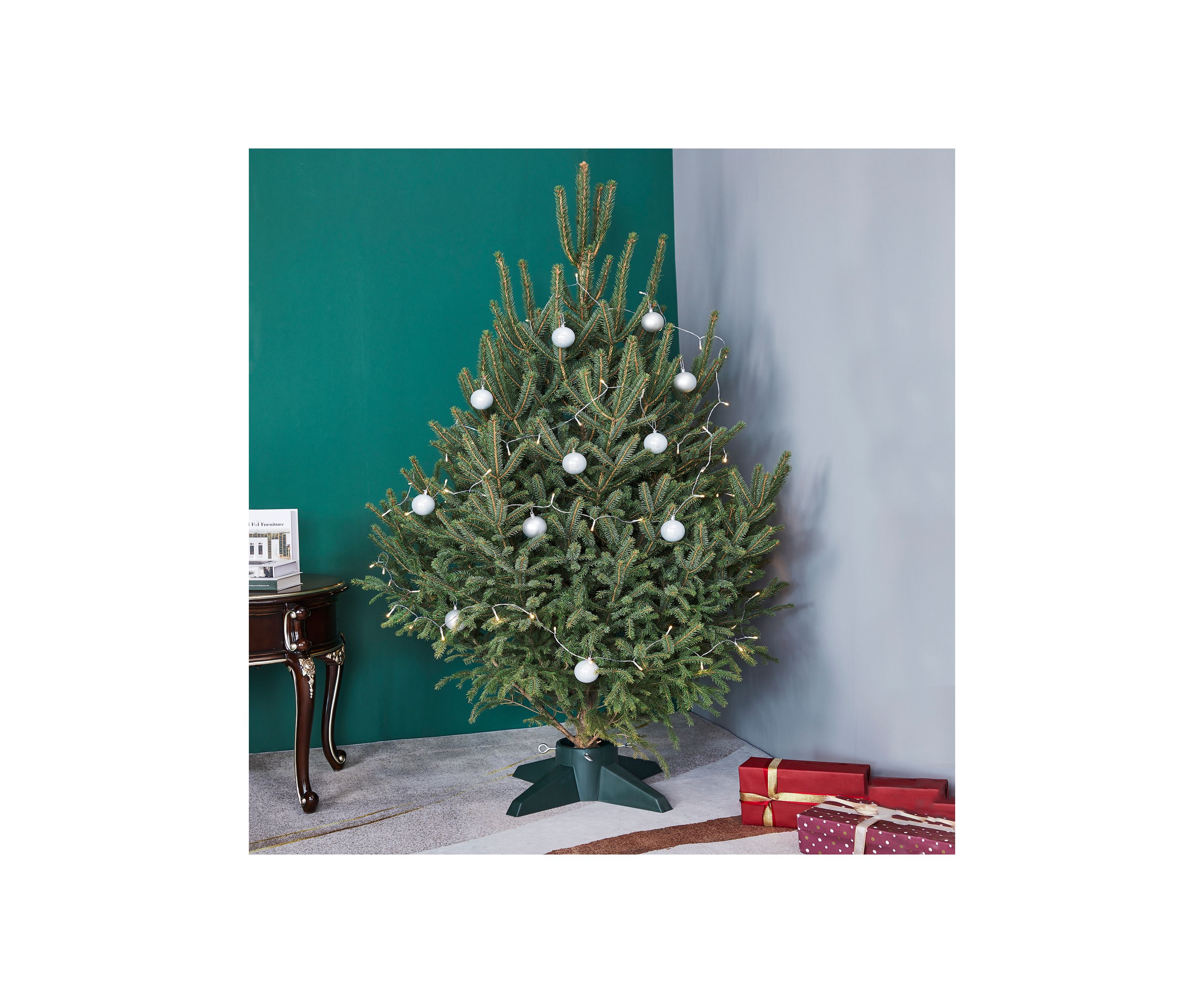 Green Live Christmas Tree Stand - For Trees up to 9