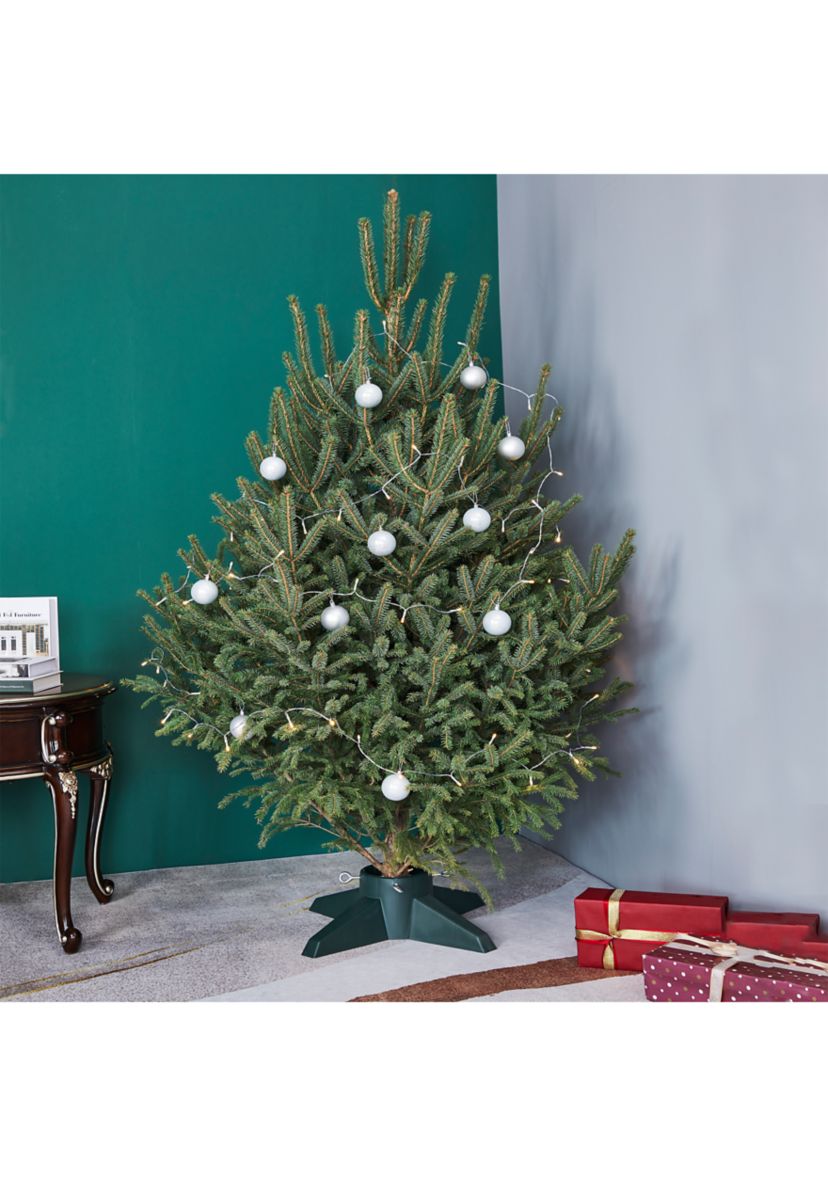 Green Live Christmas Tree Stand - For Trees up to 9