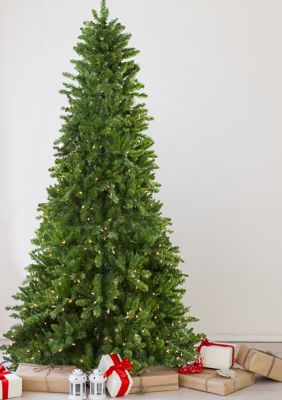 10' Pre-Lit Everett Pine Slim Artificial Christmas Tree  Clear Lights