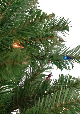 6' Pre-Lit Wilson Pine Slim Artificial Christmas Tree  Multi Lights