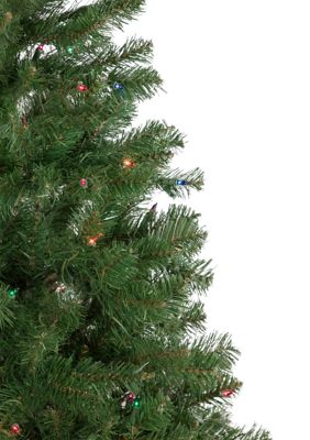 6' Pre-Lit Wilson Pine Slim Artificial Christmas Tree  Multi Lights