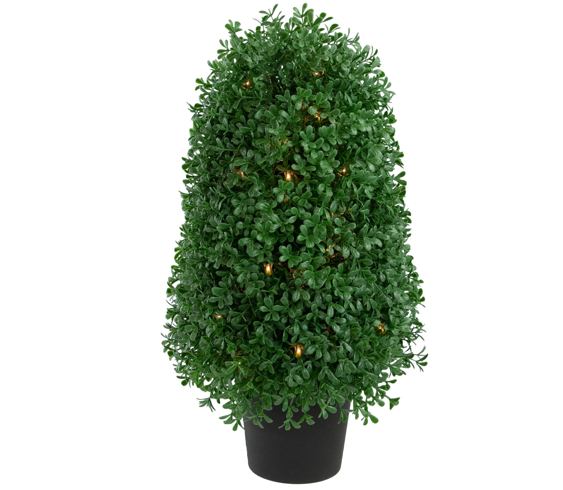 18" Pre-Lit Artificial Boxwood Cone Topiary Tree with Round Pot  Clear Lights