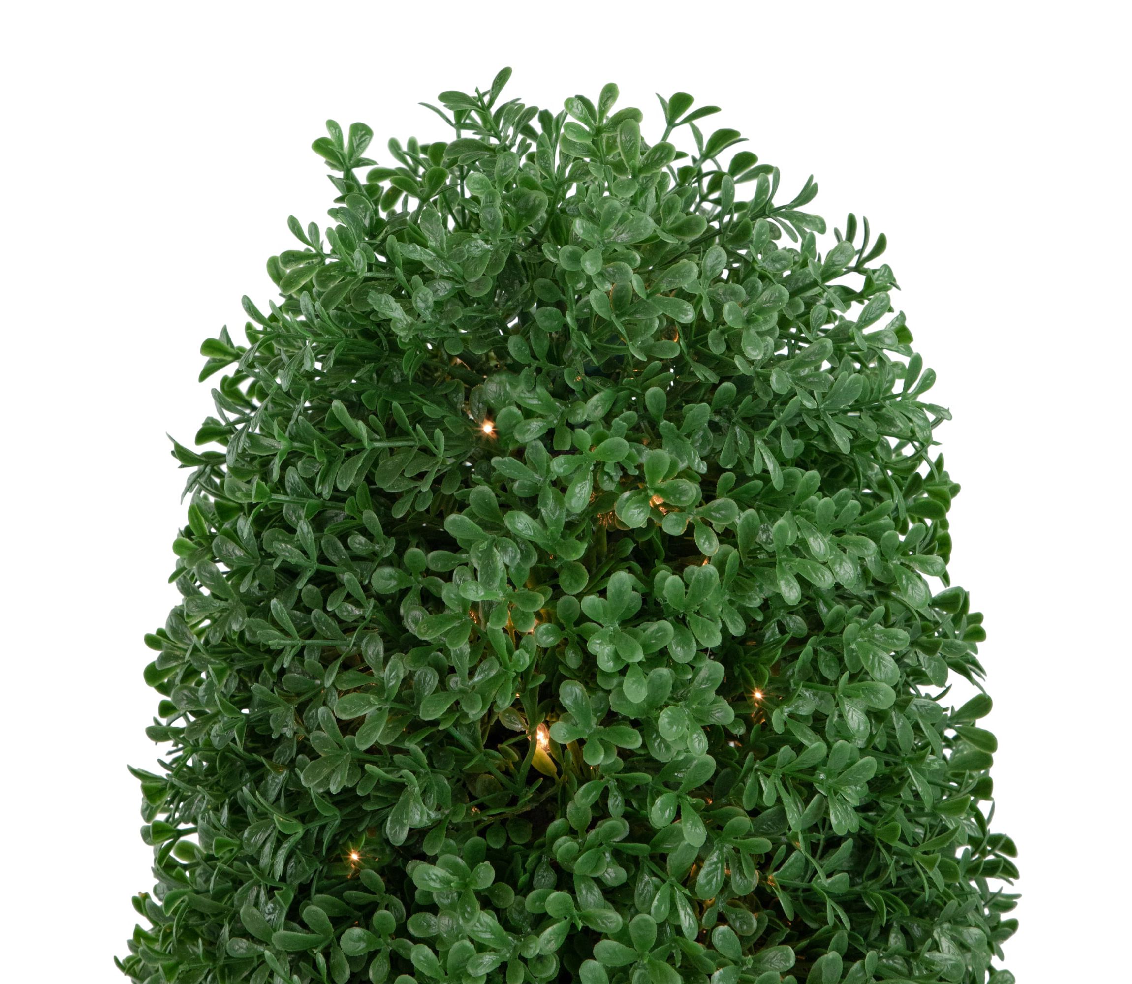 18" Pre-Lit Artificial Boxwood Cone Topiary Tree with Round Pot  Clear Lights
