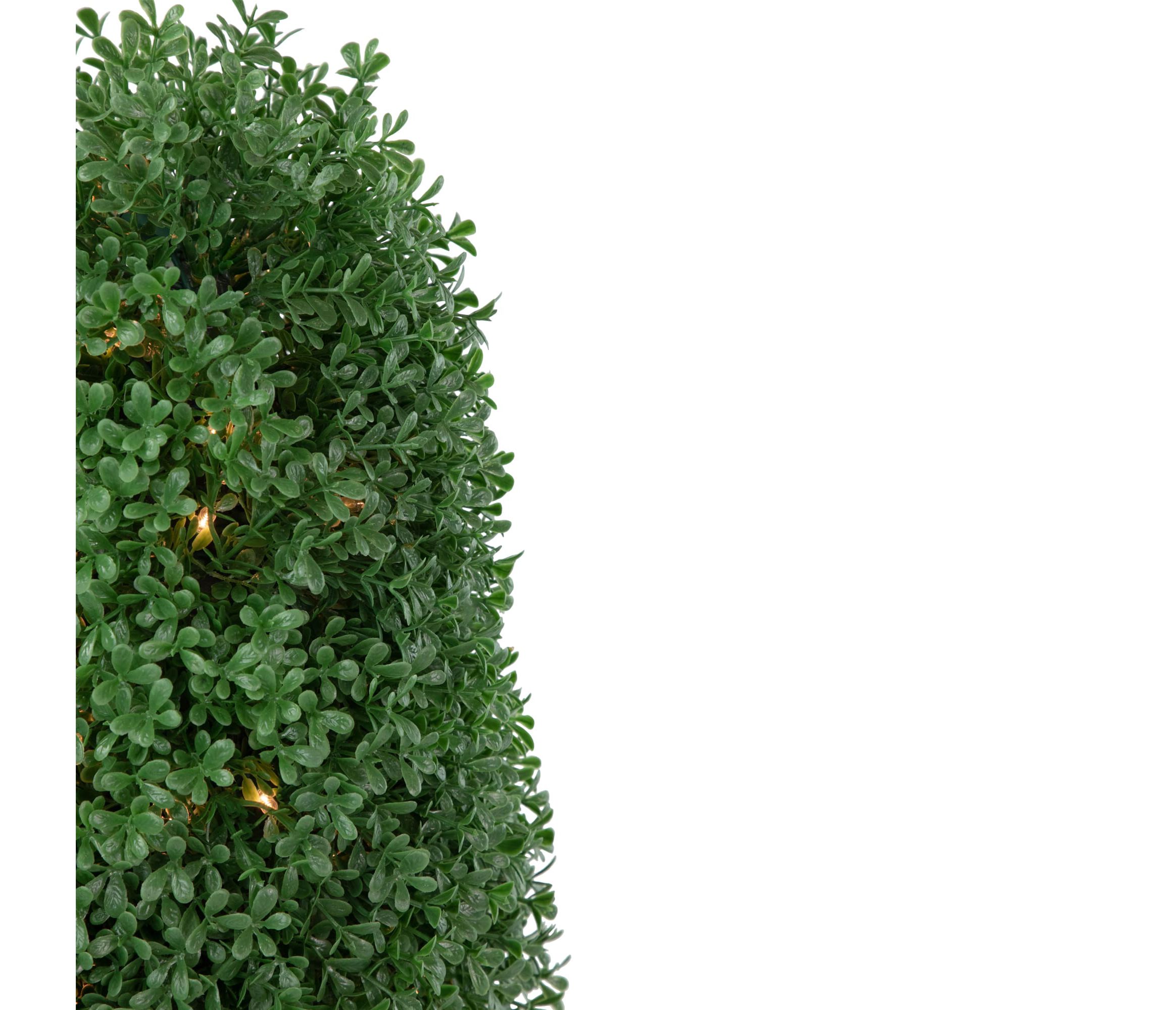 18" Pre-Lit Artificial Boxwood Cone Topiary Tree with Round Pot  Clear Lights