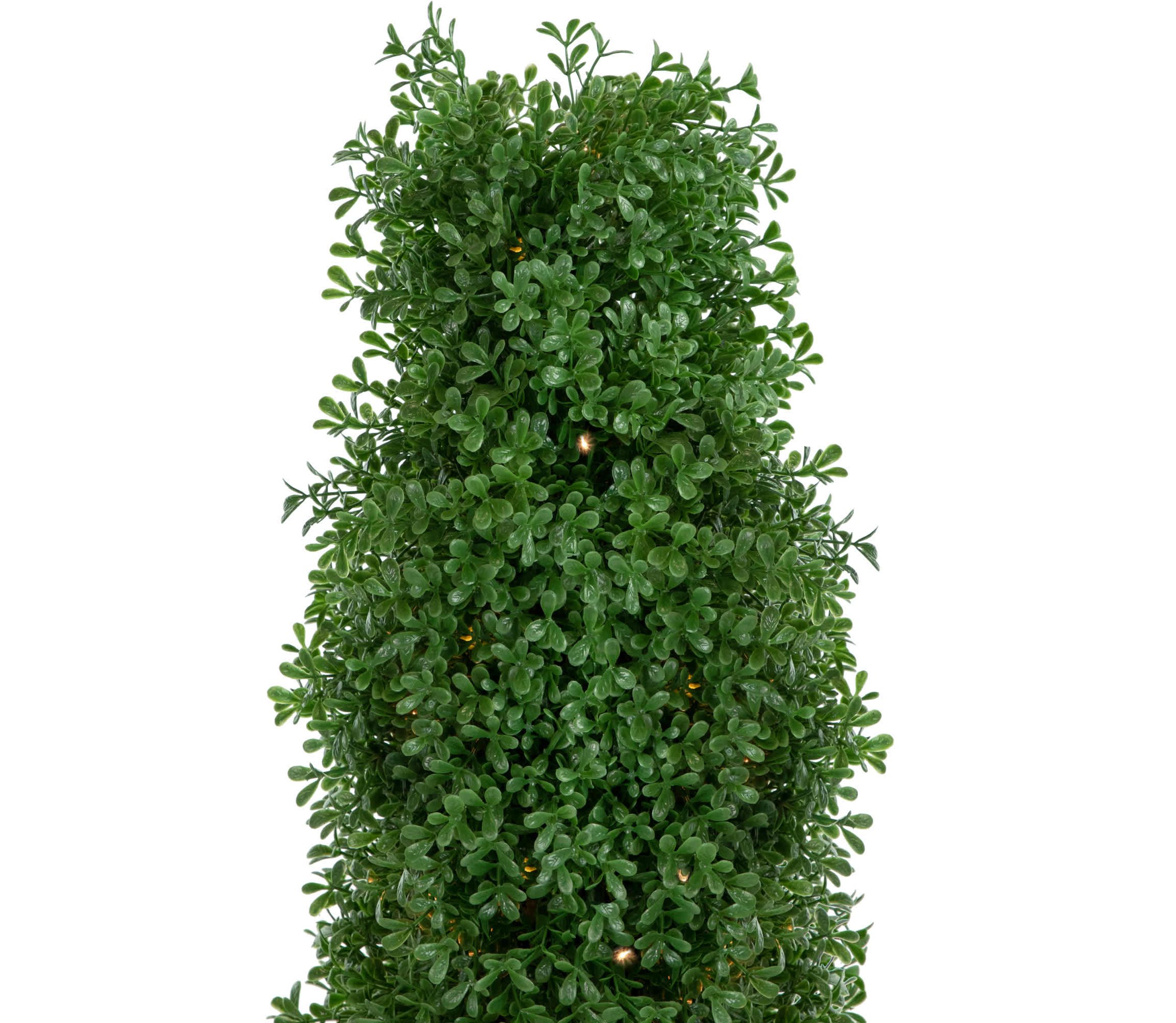 4 Pre-Lit Artificial Boxwood Cone Topiary Tree with Pot  Clear Lights