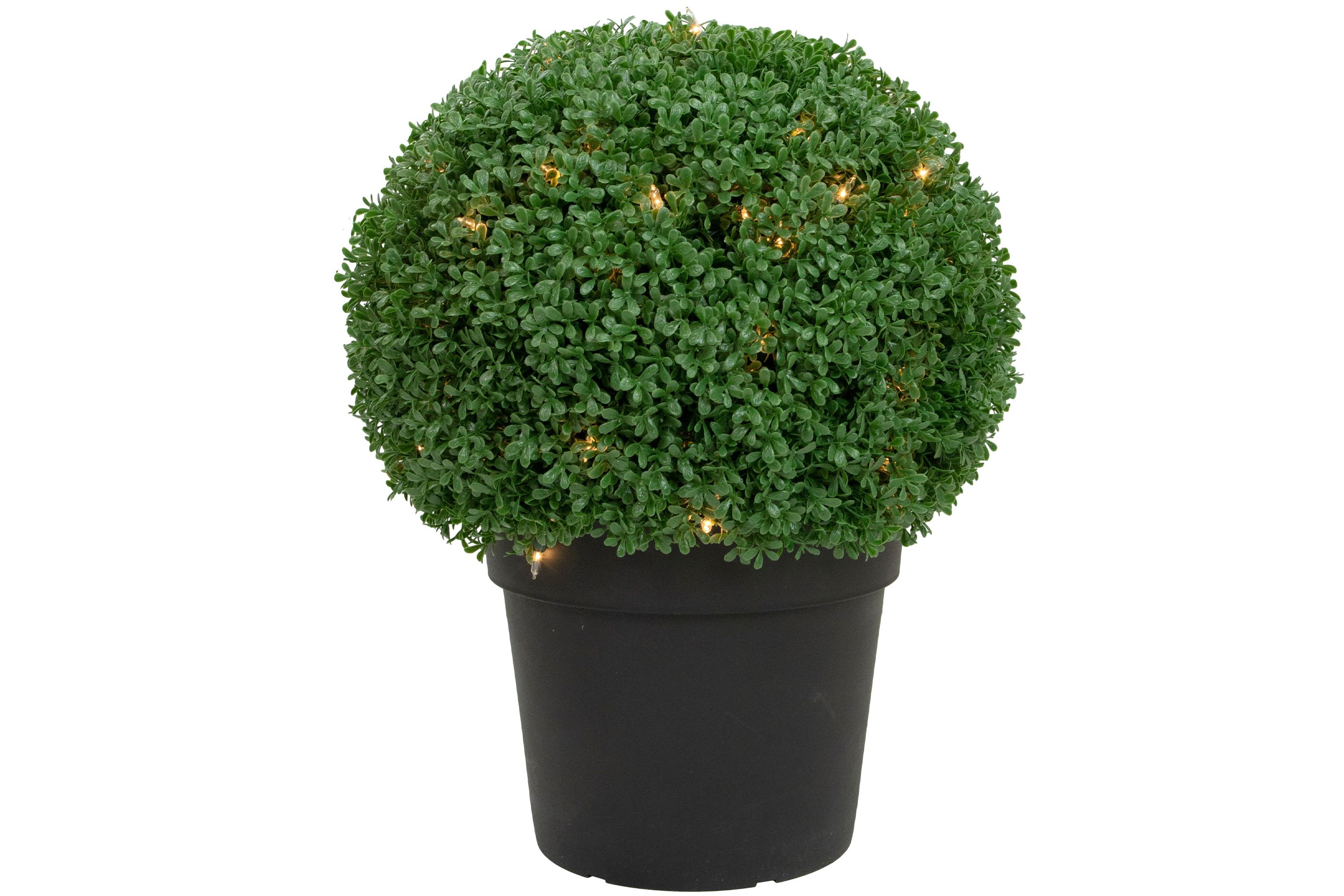 20" Pre-Lit Artificial Boxwood Ball Topiary in Round Pot  Clear Lights
