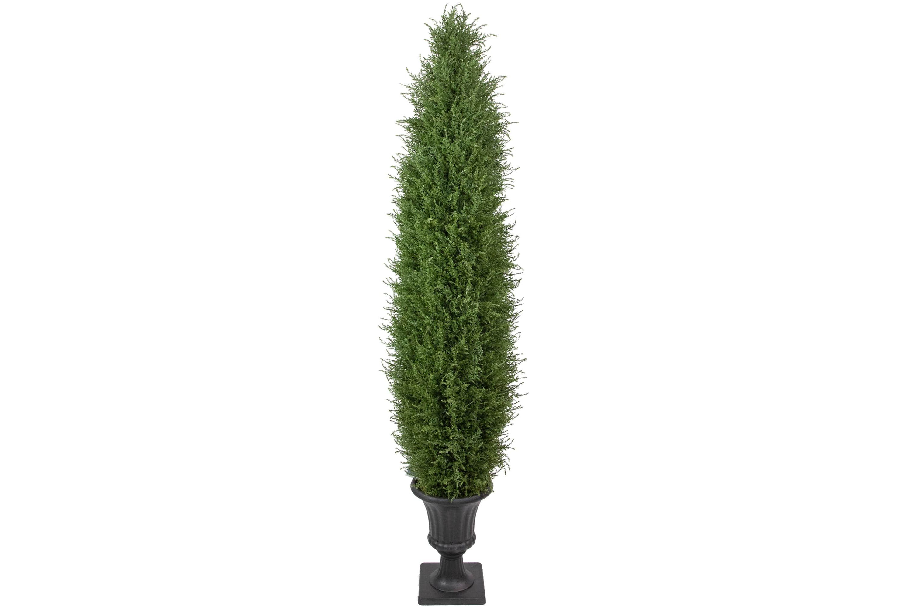 Real Touch™ Artificial Cedar Pine Arborvitae Tree in Urn Style Pot  Unlit - 5