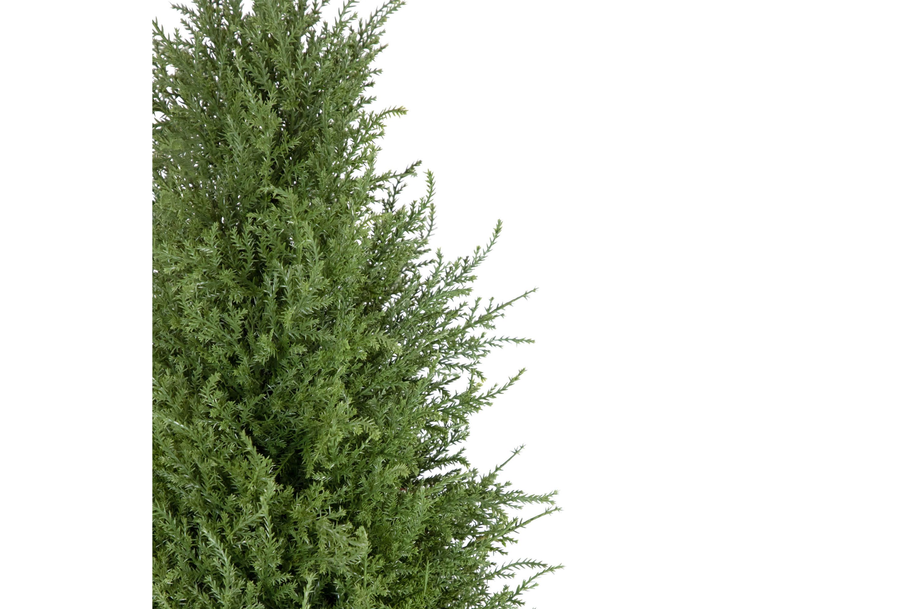 Real Touch™ Artificial Cedar Pine Arborvitae Tree in Urn Style Pot  Unlit - 5