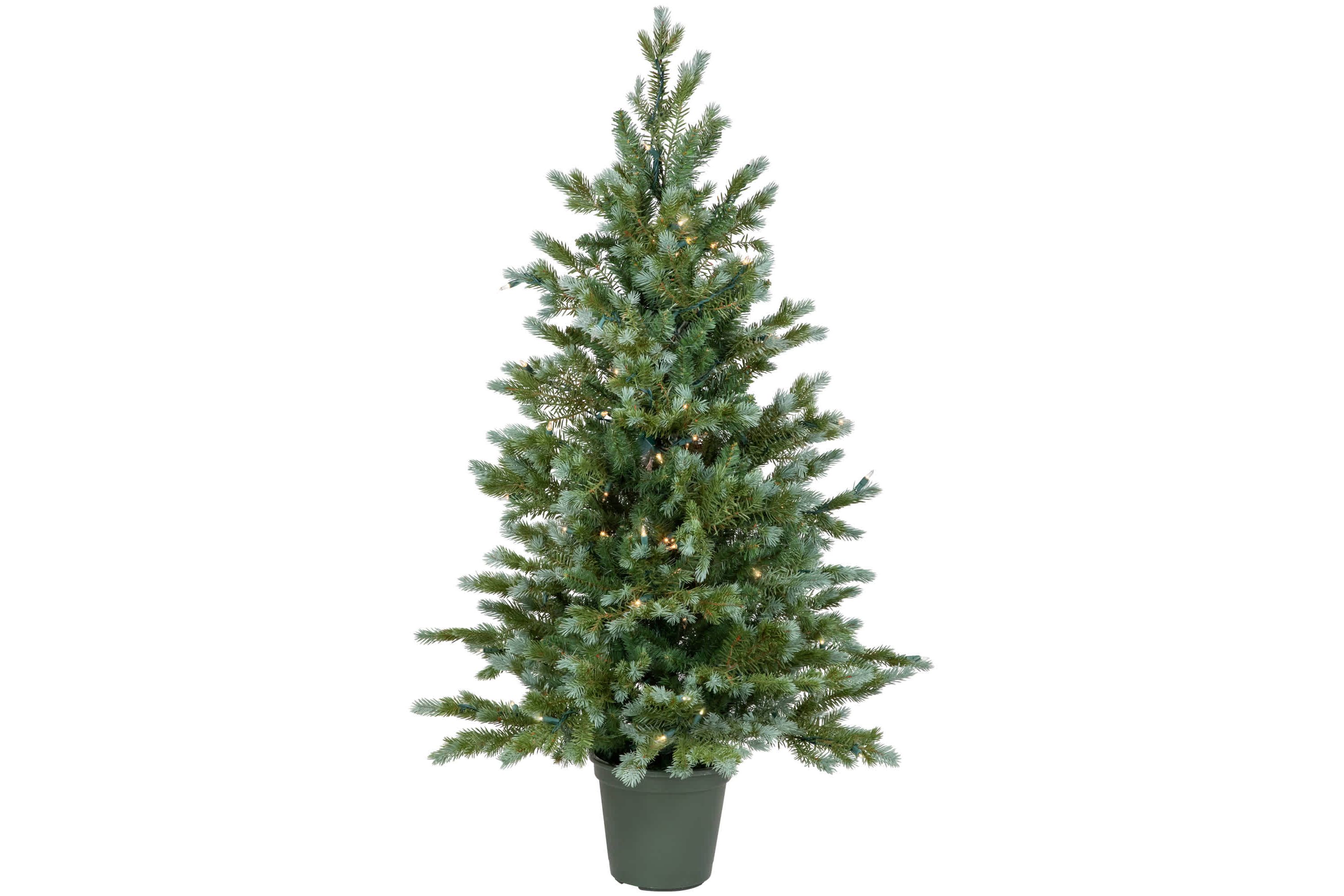 4 Potted Blue Spruce Artificial Christmas Tree  Clear Lights