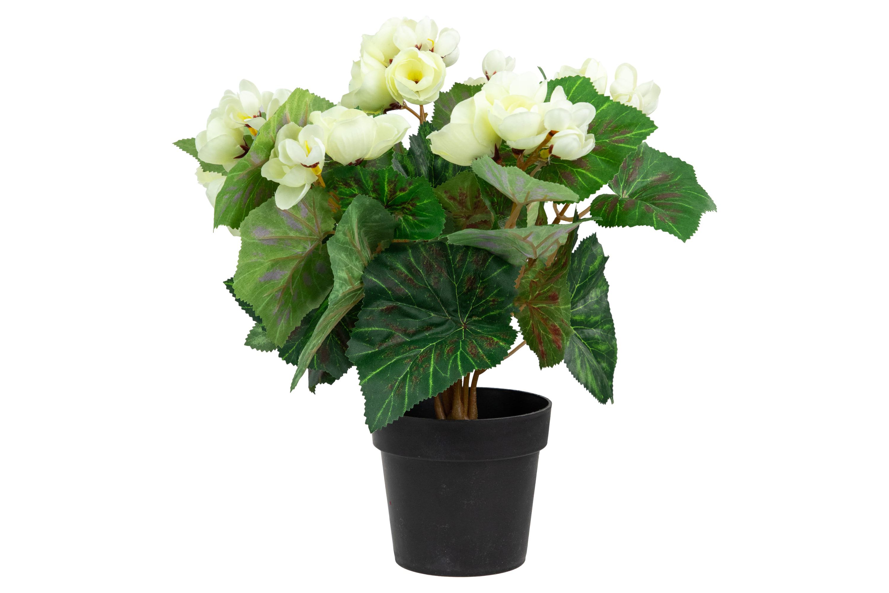 11" Cream Potted Silk Begonia Spring Artificial Floral Arrangement