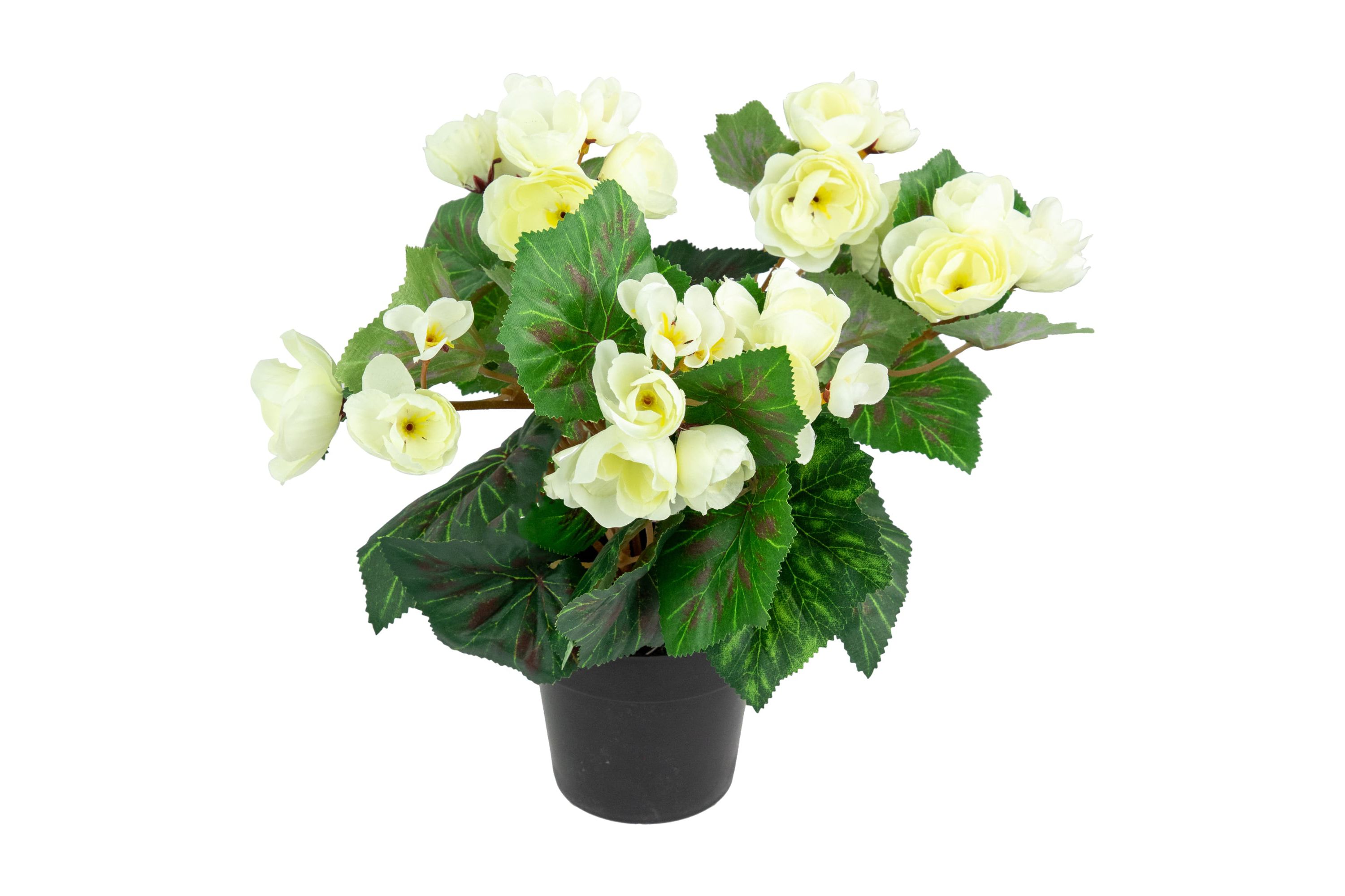 11" Cream Potted Silk Begonia Spring Artificial Floral Arrangement