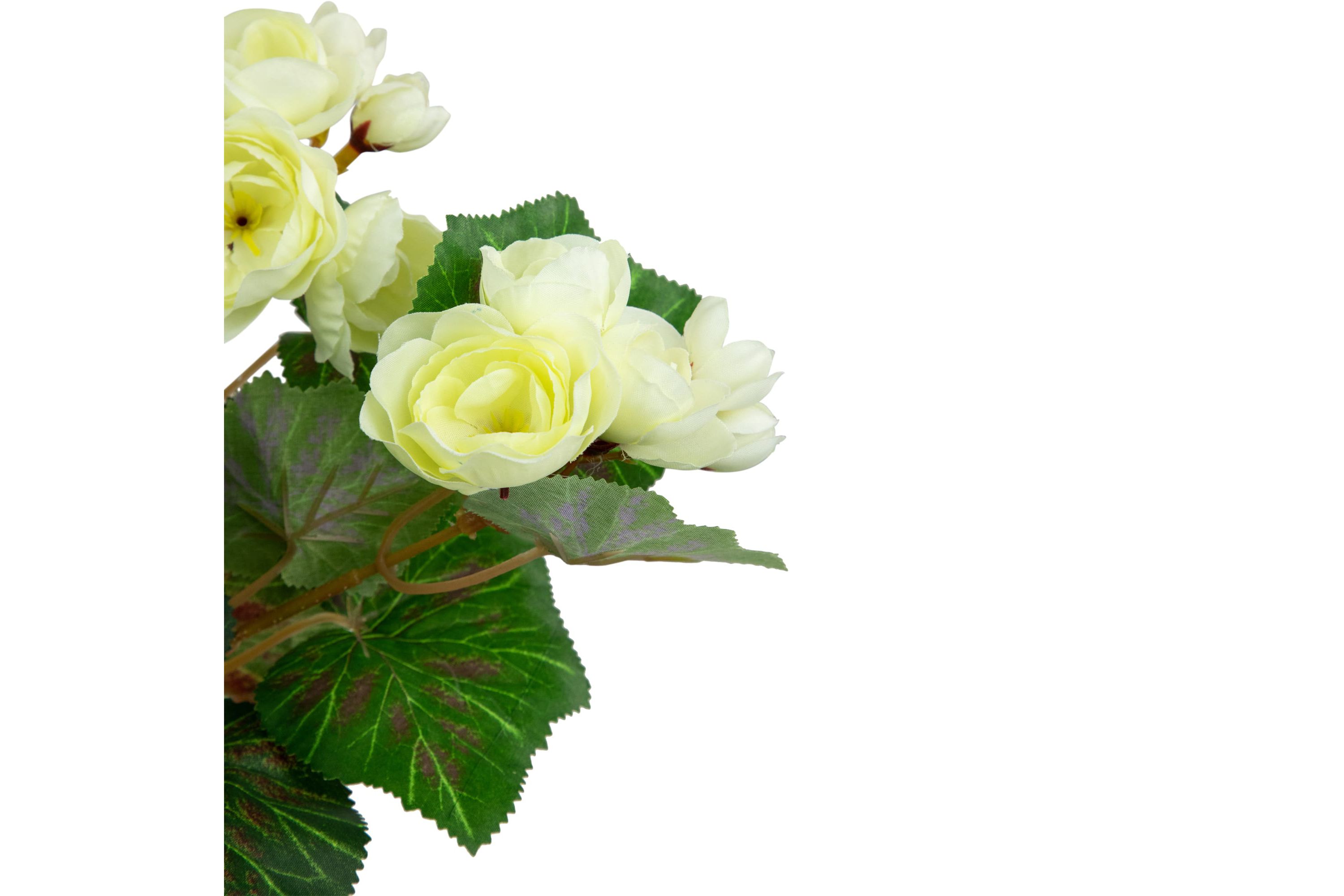 11" Cream Potted Silk Begonia Spring Artificial Floral Arrangement