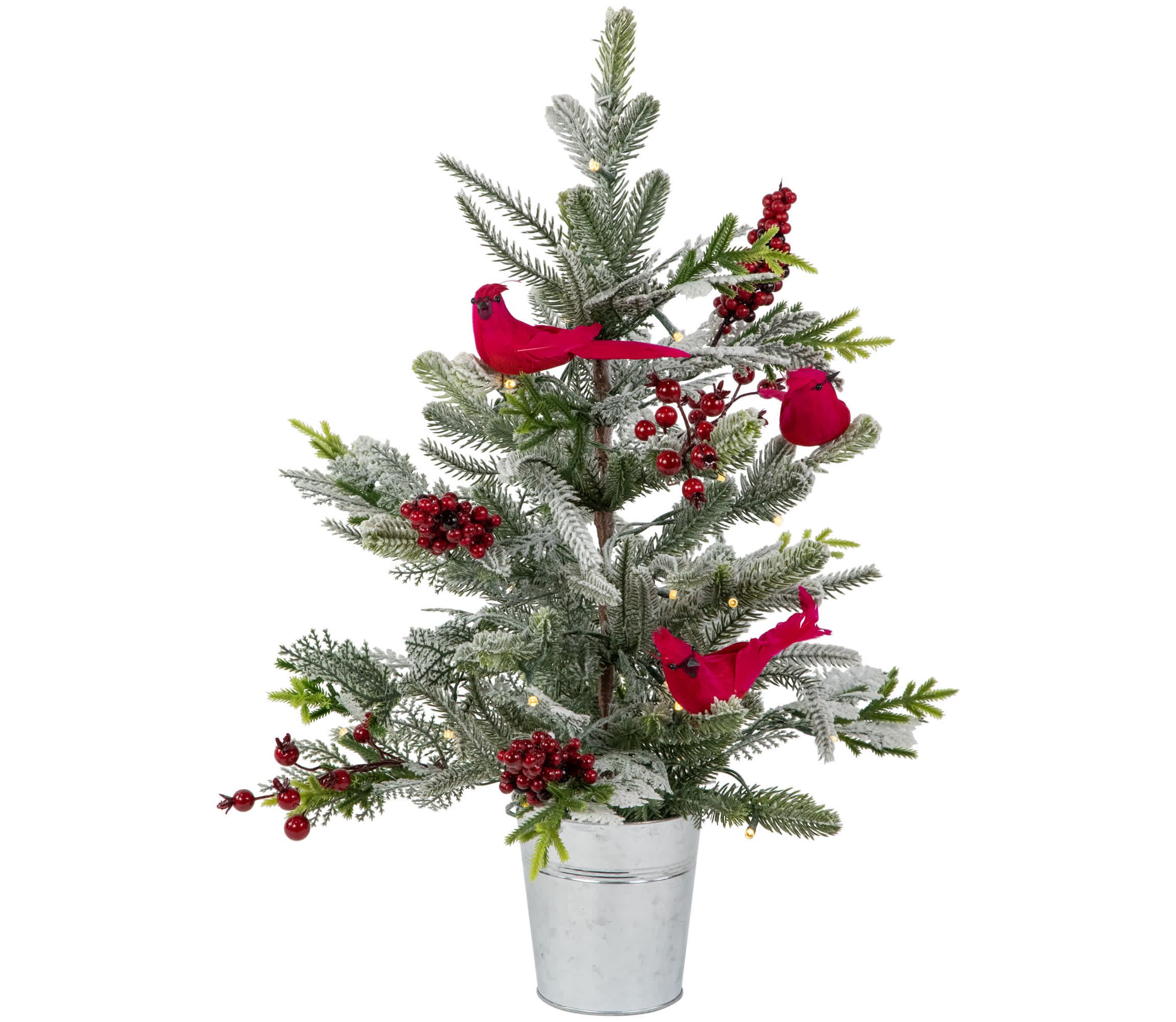 Pre-Lit LED Frosted Mixed Pine with Cardinals Potted Christmas Tree - 2 - Warm White Lights