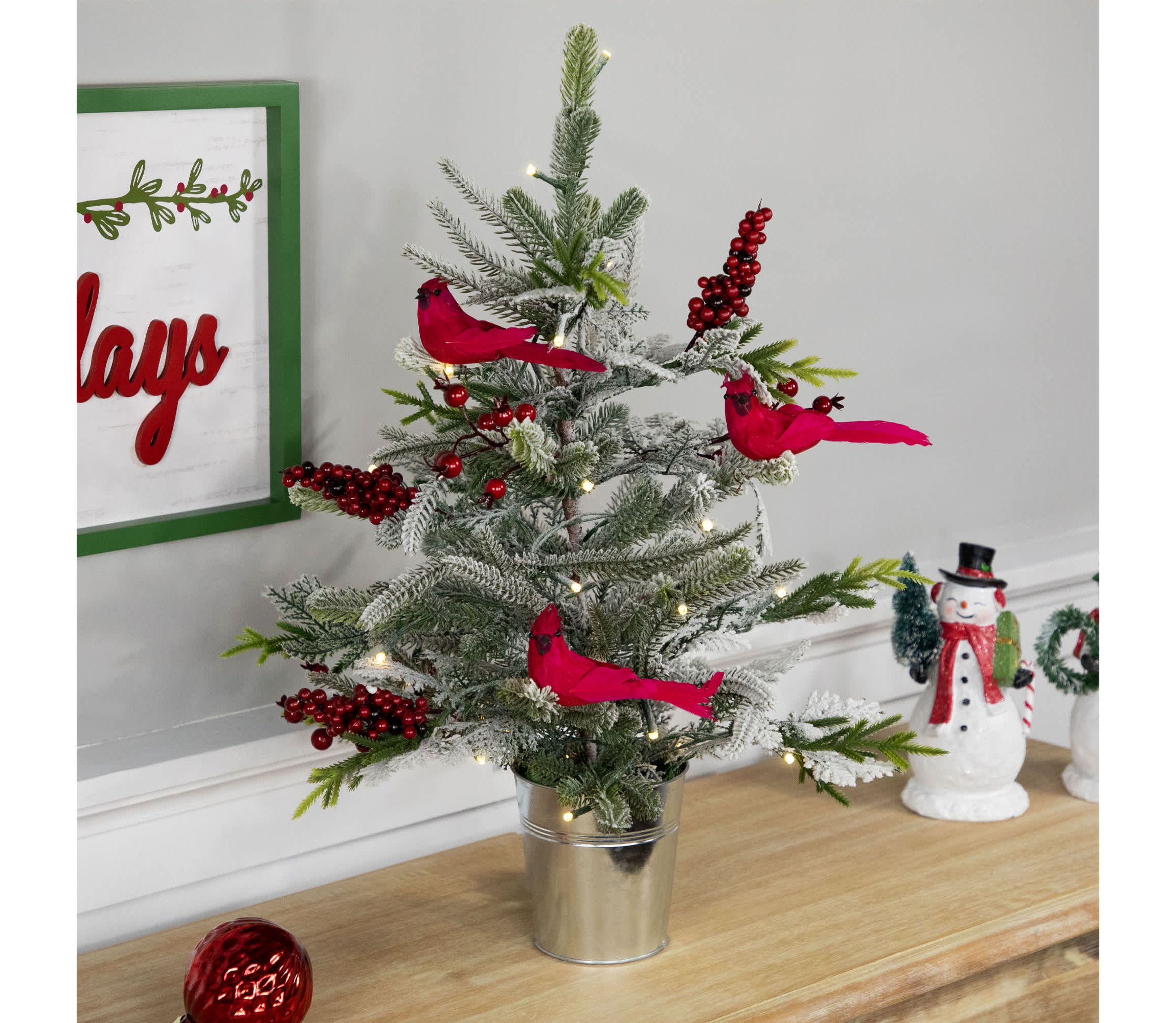 Pre-Lit LED Frosted Mixed Pine with Cardinals Potted Christmas Tree - 2 - Warm White Lights