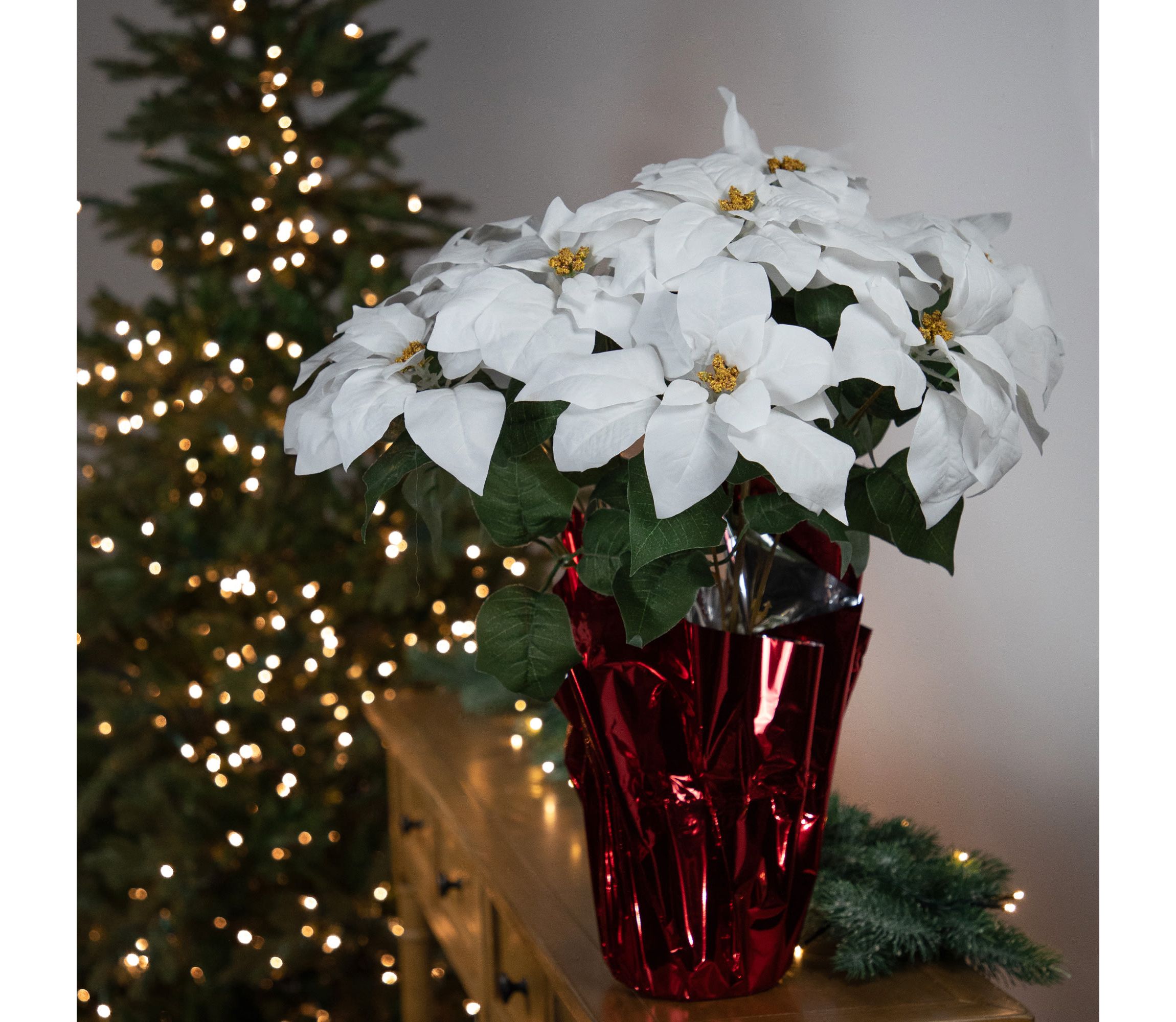 20" White Artificial Christmas Poinsettia with Red Wrapped Pot