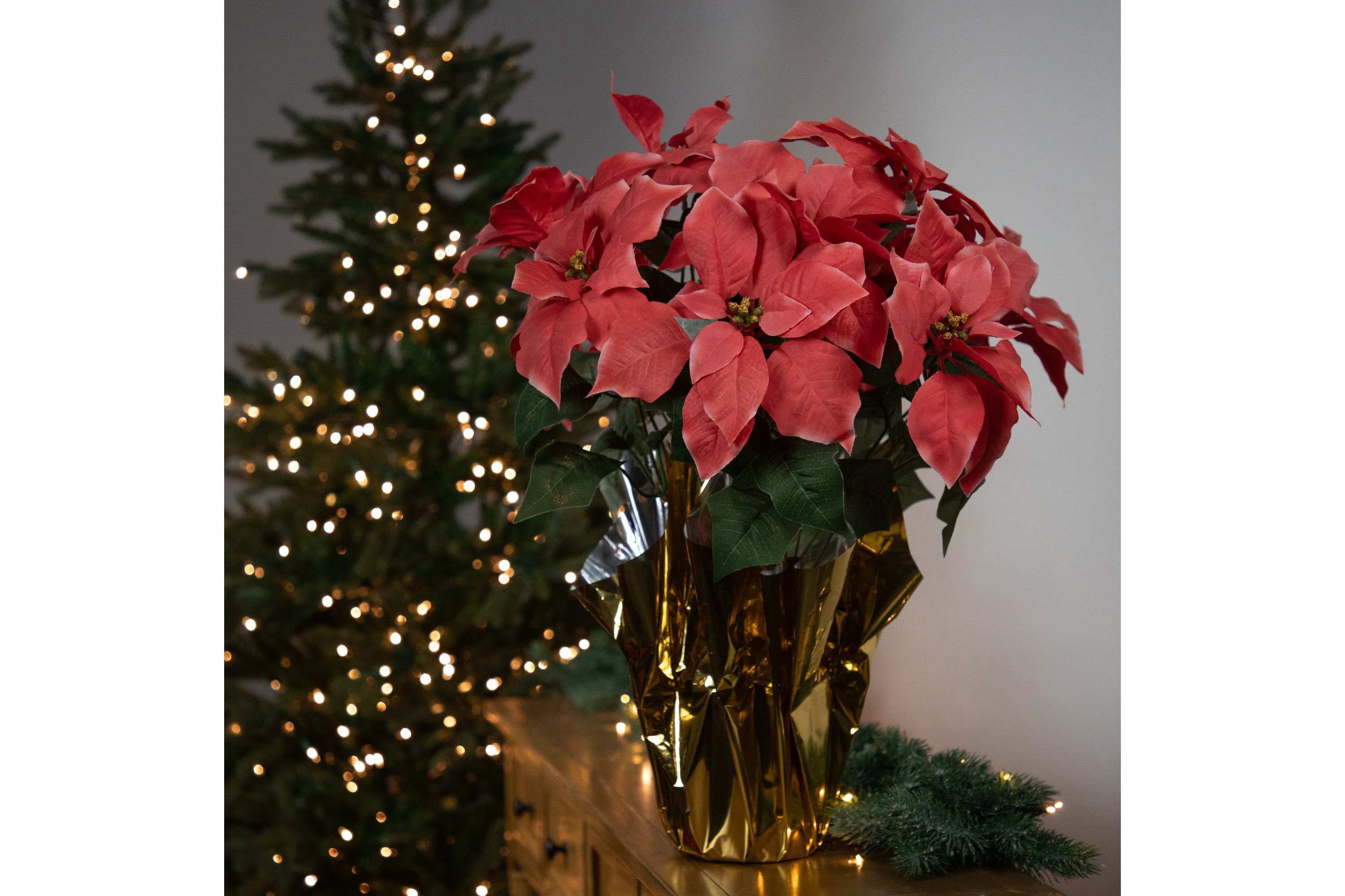 20" Dark Pink Artificial Christmas Poinsettia with Gold Wrapped Pot