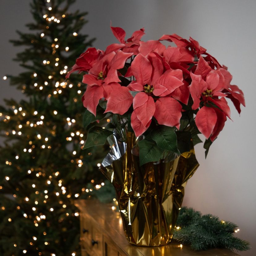 20" Dark Pink Artificial Christmas Poinsettia with Gold Wrapped Pot