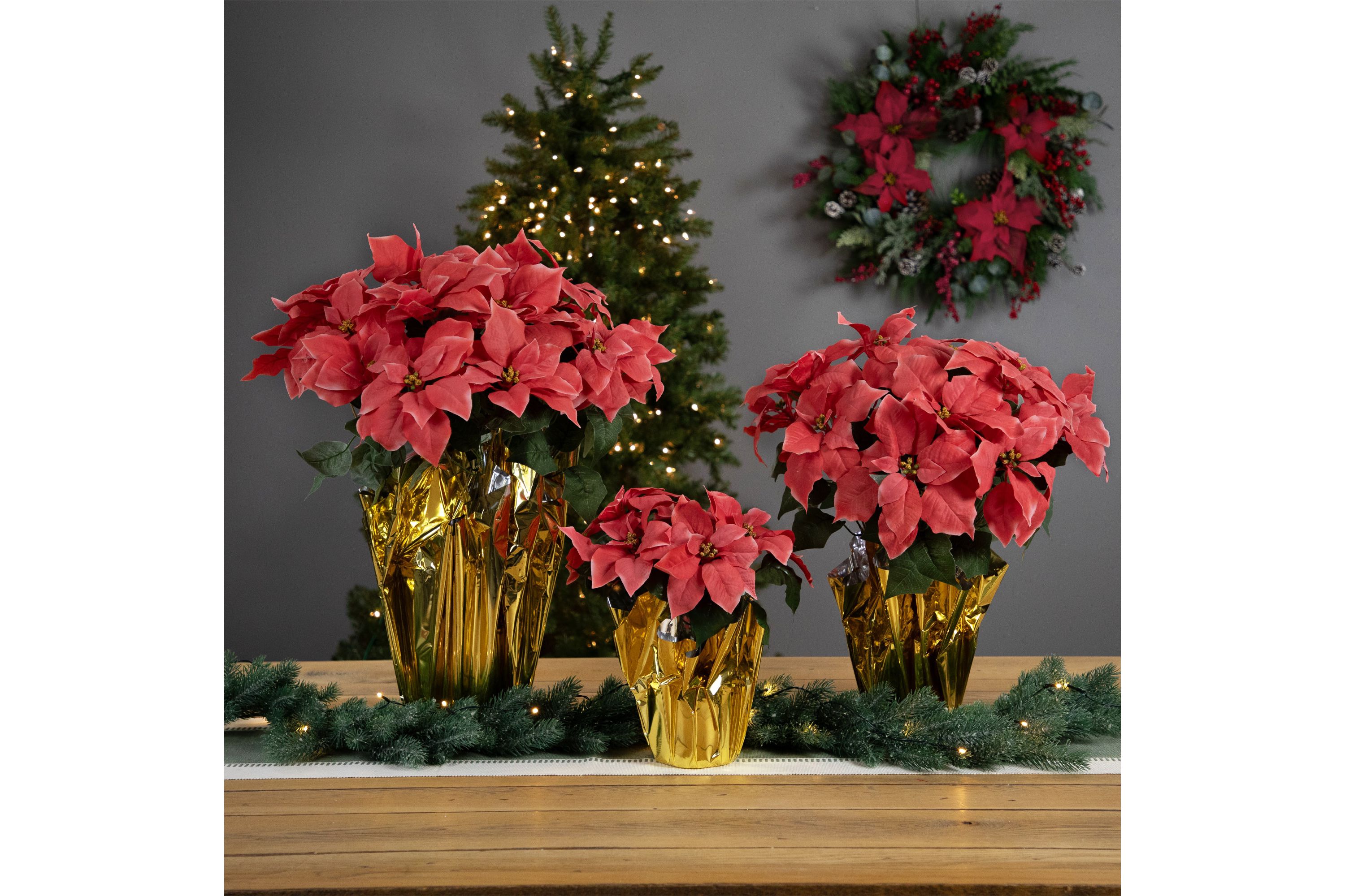 20" Dark Pink Artificial Christmas Poinsettia with Gold Wrapped Pot