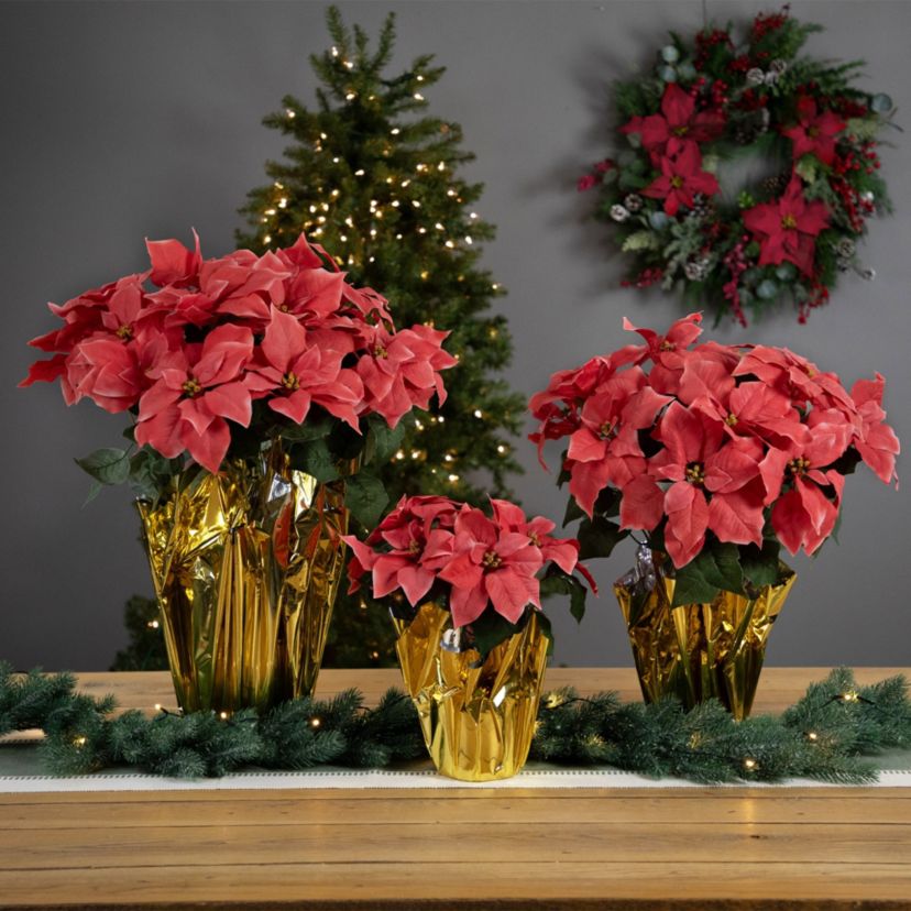 20" Dark Pink Artificial Christmas Poinsettia with Gold Wrapped Pot