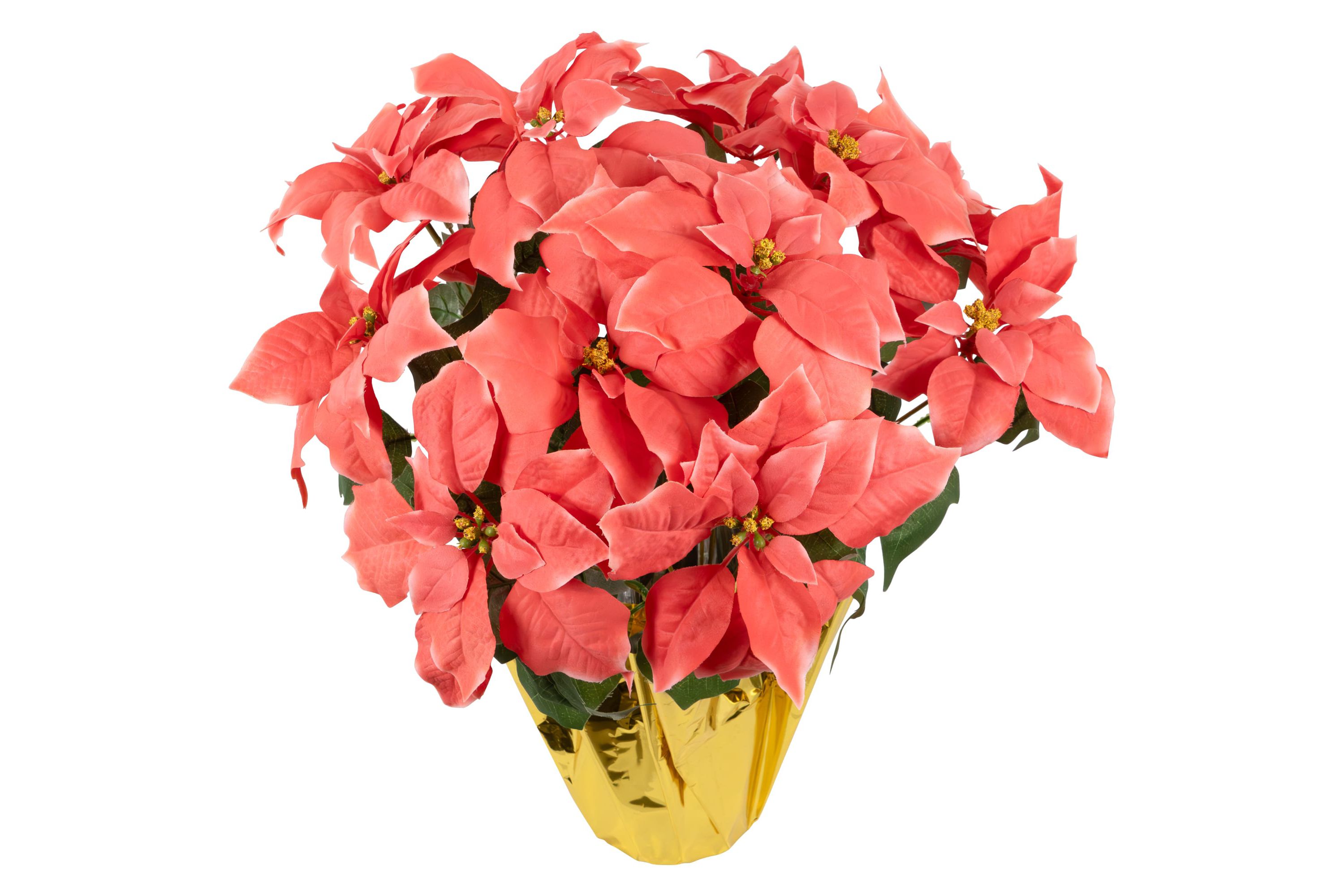 20" Dark Pink Artificial Christmas Poinsettia with Gold Wrapped Pot