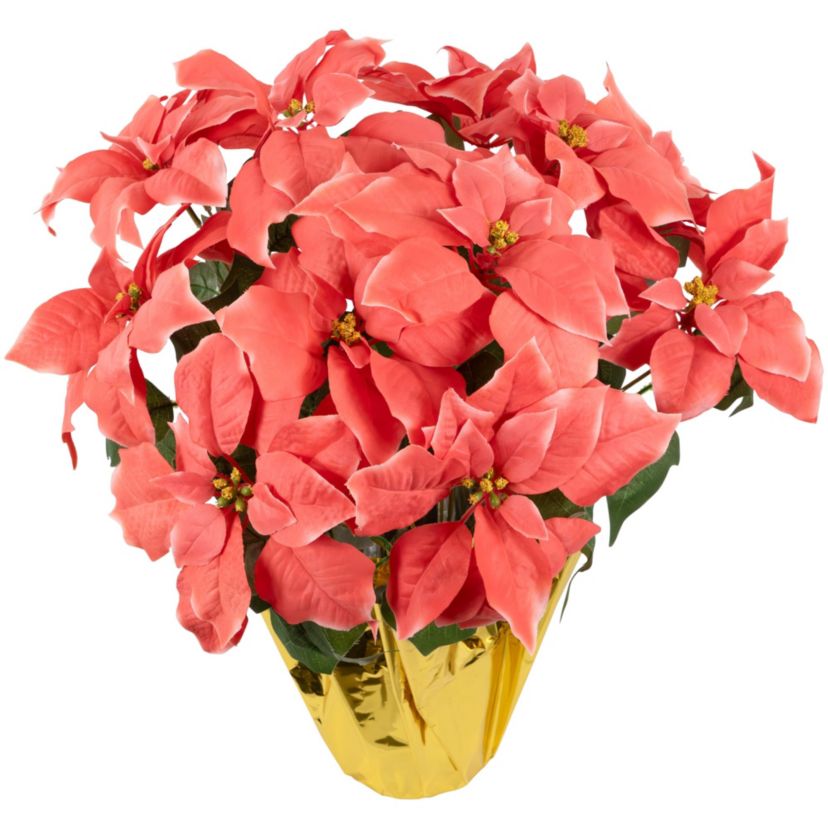 20" Dark Pink Artificial Christmas Poinsettia with Gold Wrapped Pot