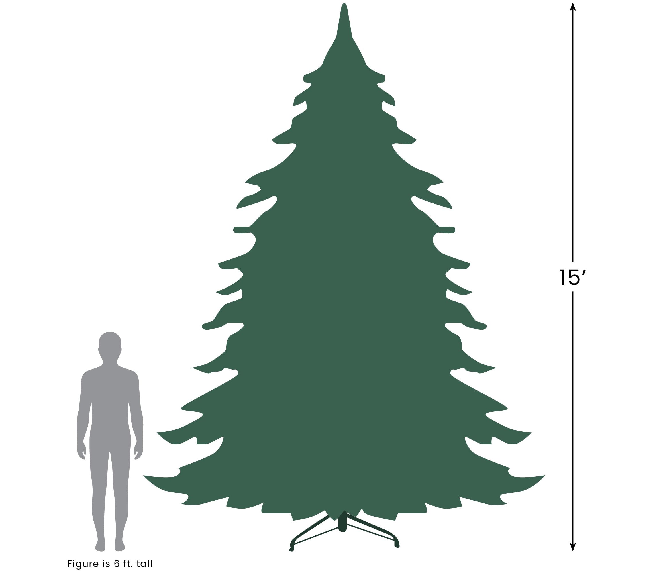15 Pre-Lit Artificial Canadian Pine Commercial Christmas Tree - Warm White Lights