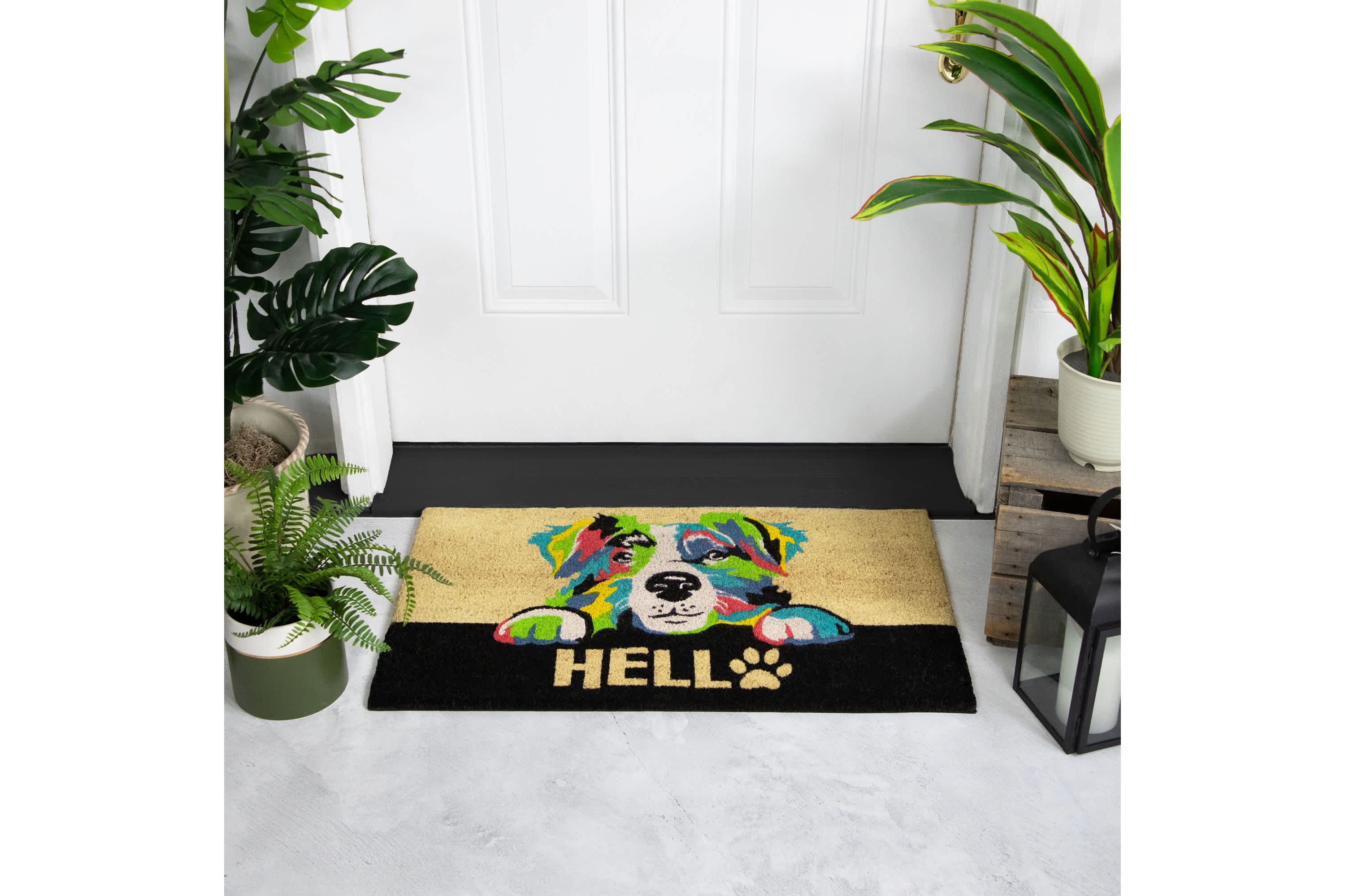 Ivory and Black "Hello" Multicolor Dog Outdoor Coir Doormat 18" x 30"