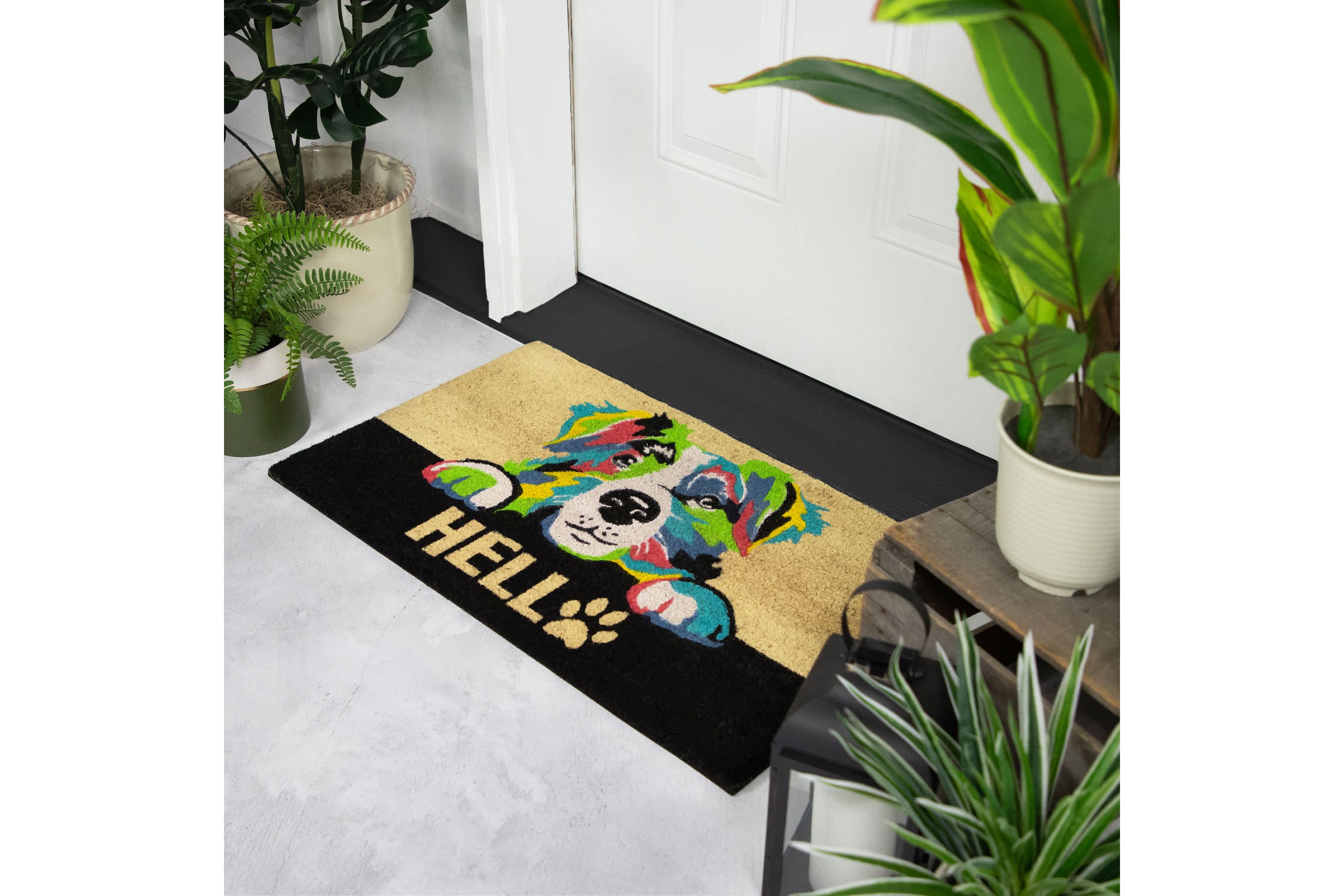 Ivory and Black "Hello" Multicolor Dog Outdoor Coir Doormat 18" x 30"