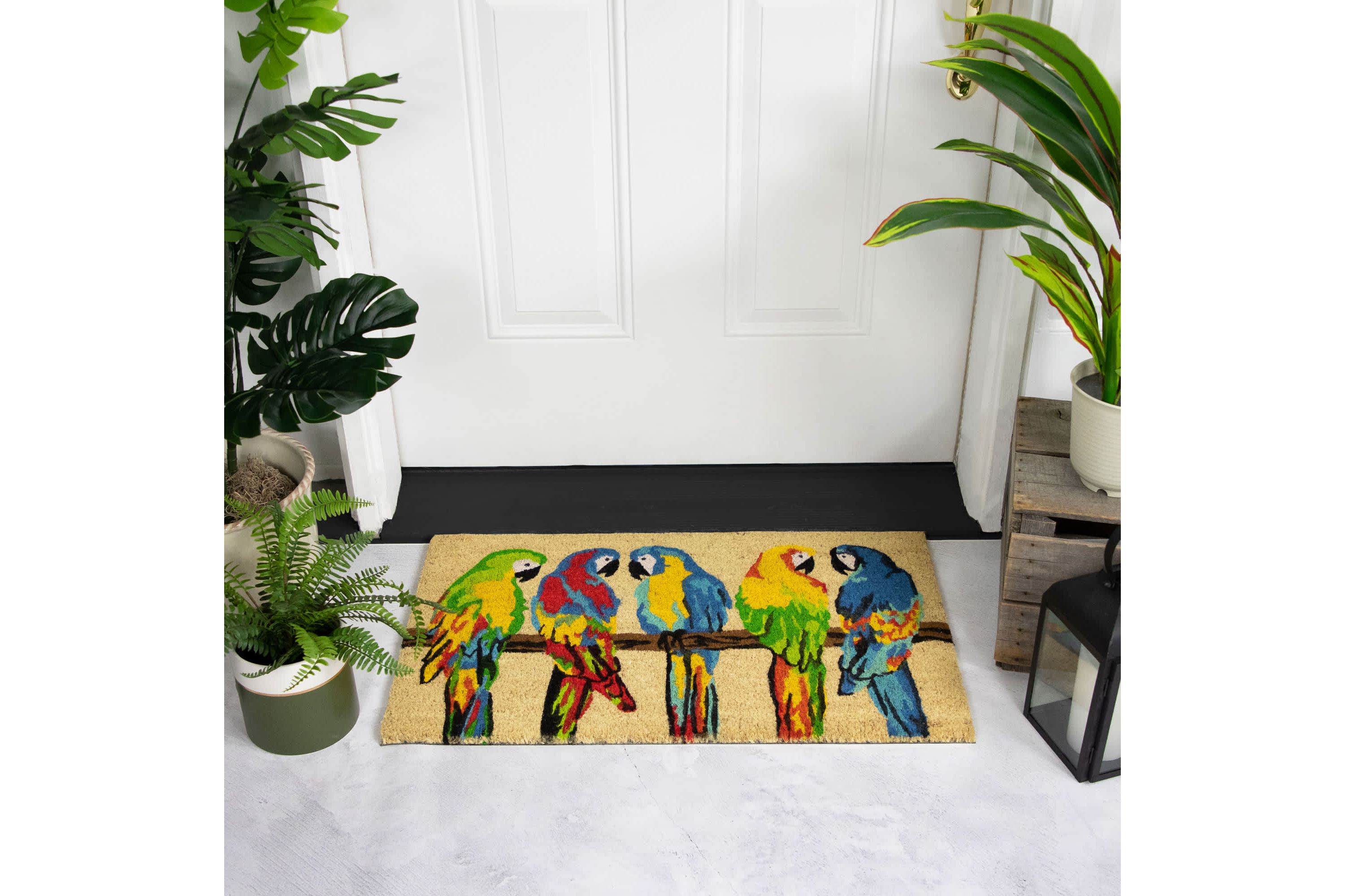 Toffee and Multicolor Parrots Coir Outdoor Doormat 18" x 30"