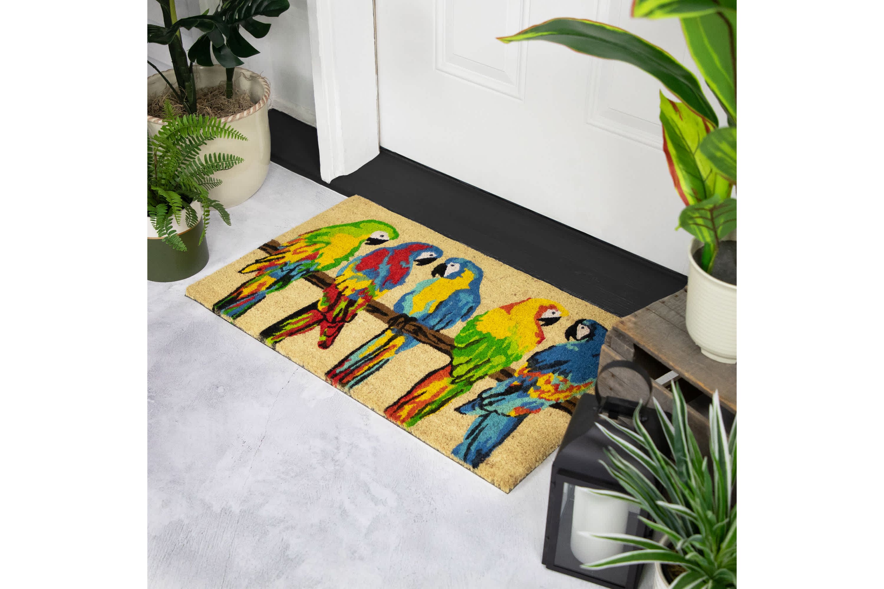 Toffee and Multicolor Parrots Coir Outdoor Doormat 18" x 30"