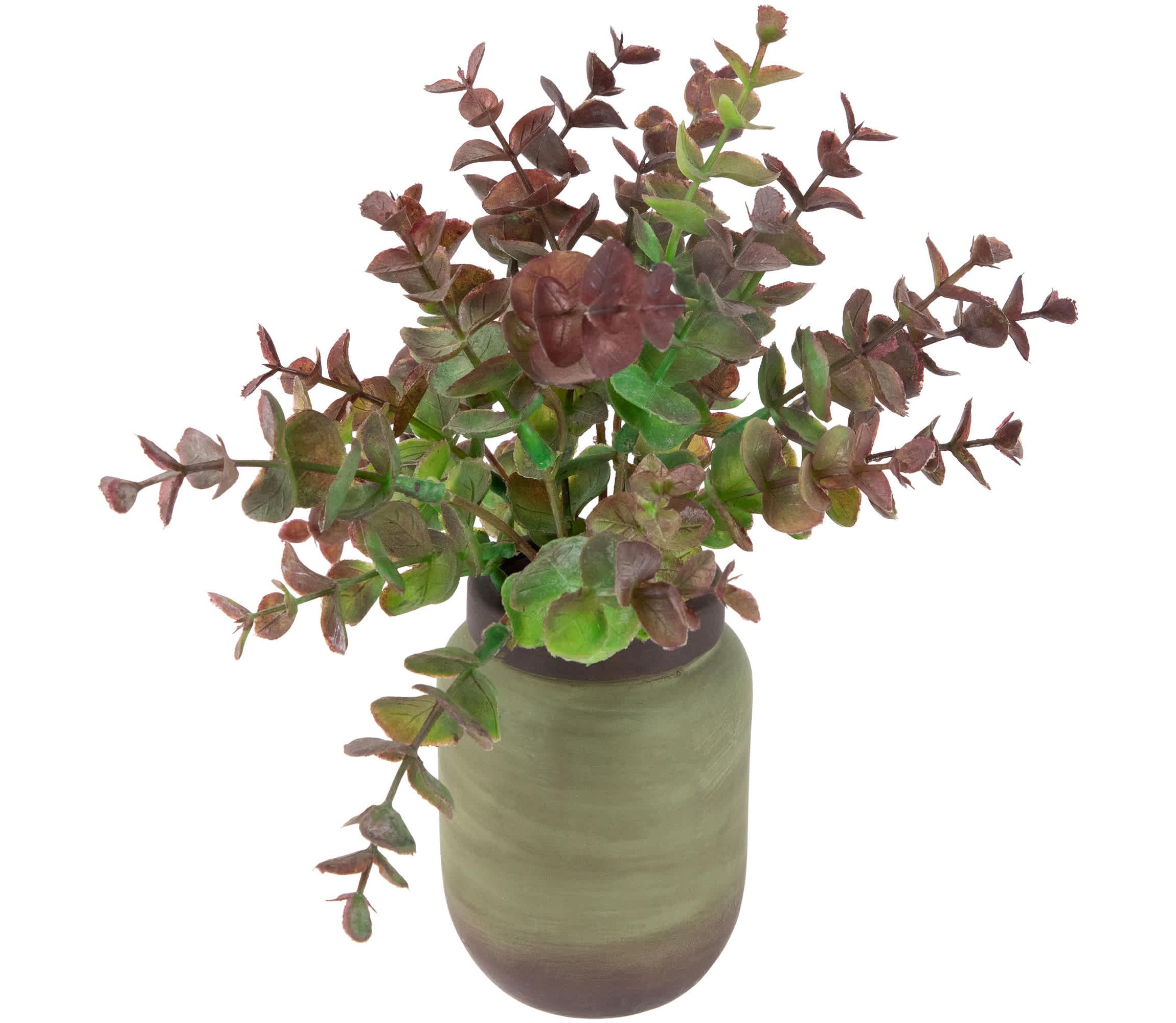 Real Touch™ Two-Toned Spring Eucalyptus Leaves Artificial Plant in Ceramic Pot 10"