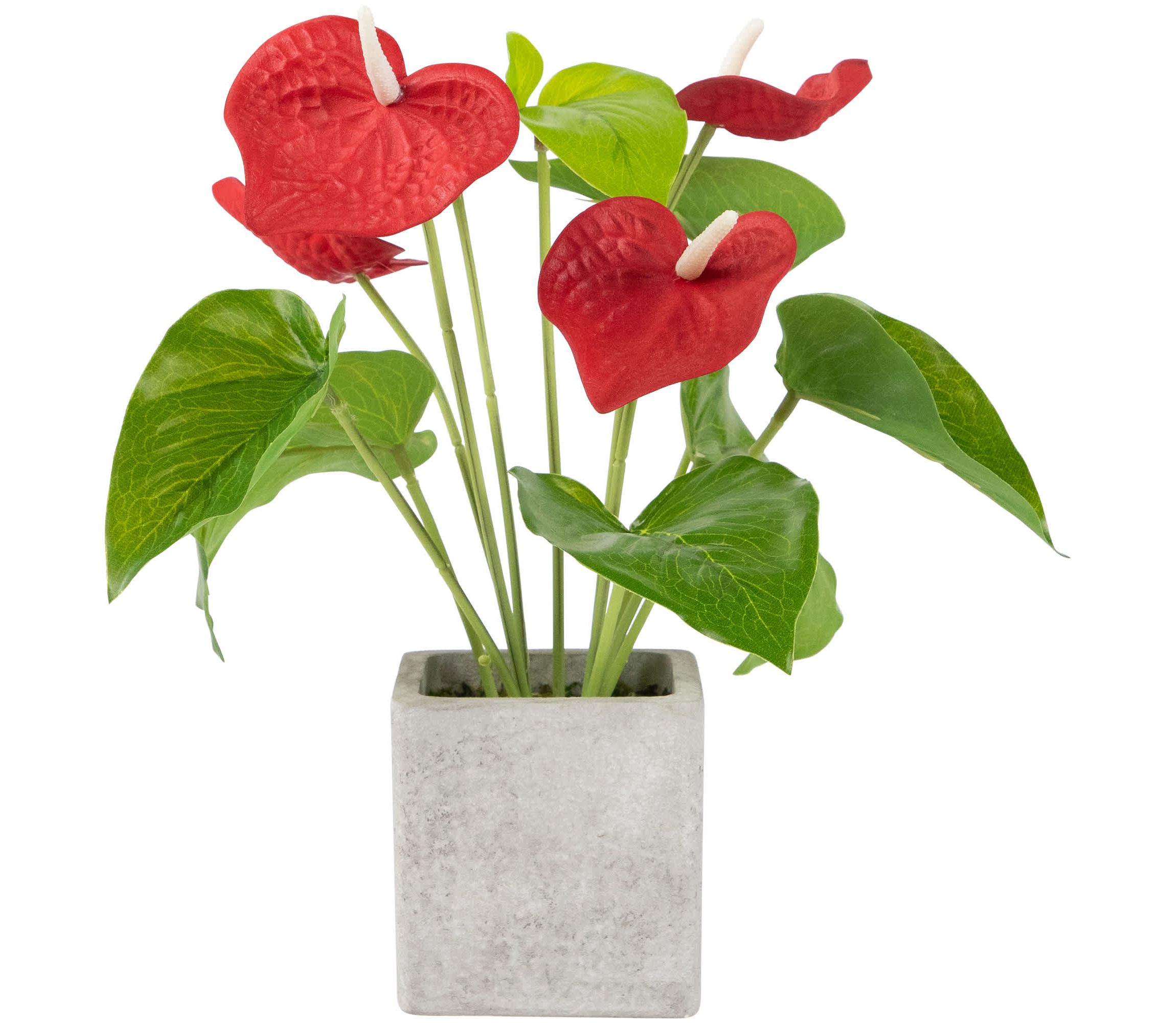 Anthurium Spring Floral Artificial Plant in a Square Pot - 12" - Red