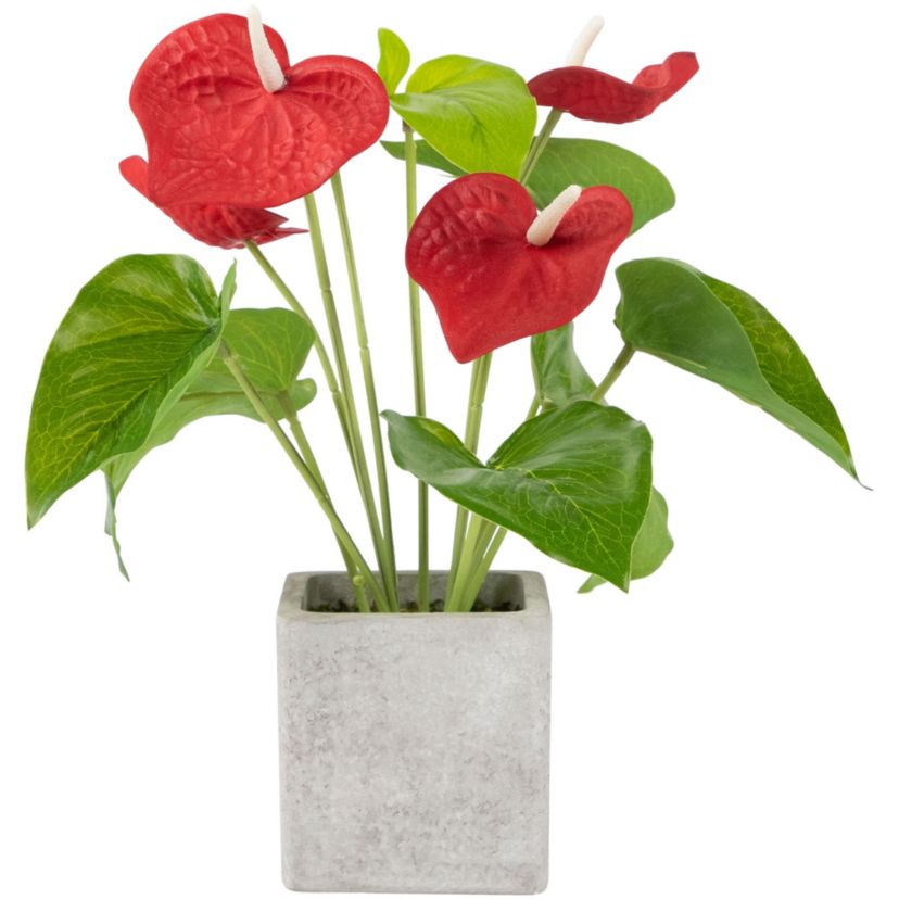 Anthurium Spring Floral Artificial Plant in a Square Pot - 12" - Red