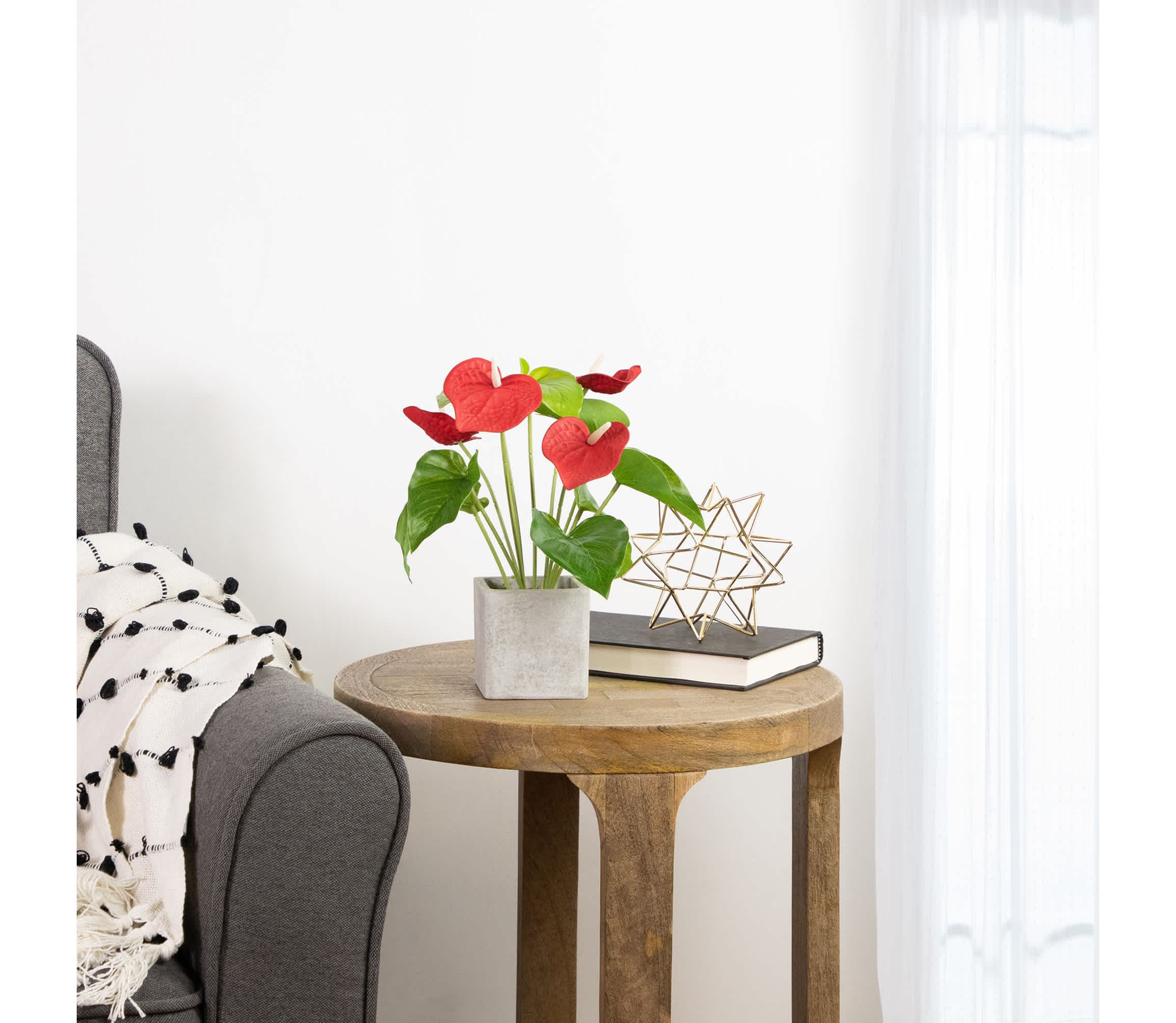 Anthurium Spring Floral Artificial Plant in a Square Pot - 12" - Red