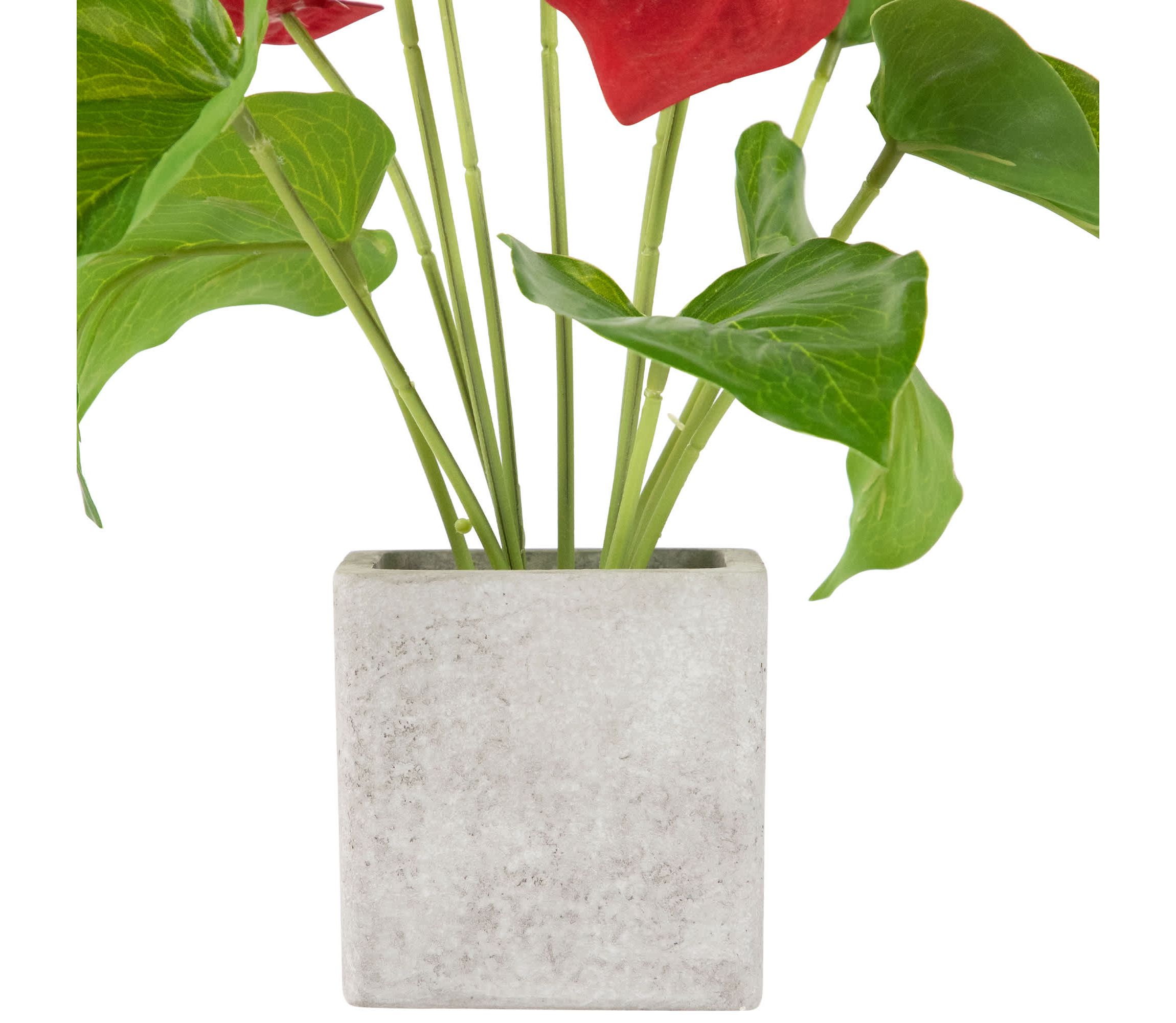 Anthurium Spring Floral Artificial Plant in a Square Pot - 12" - Red